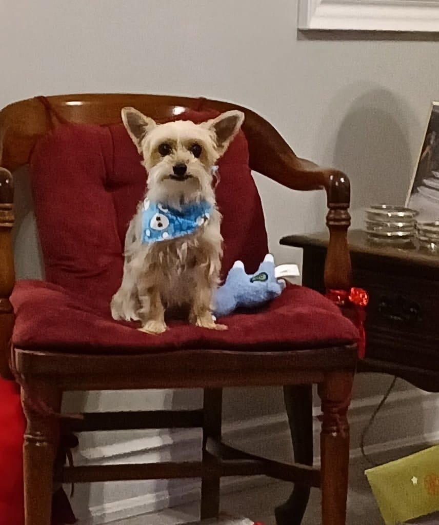 image-4