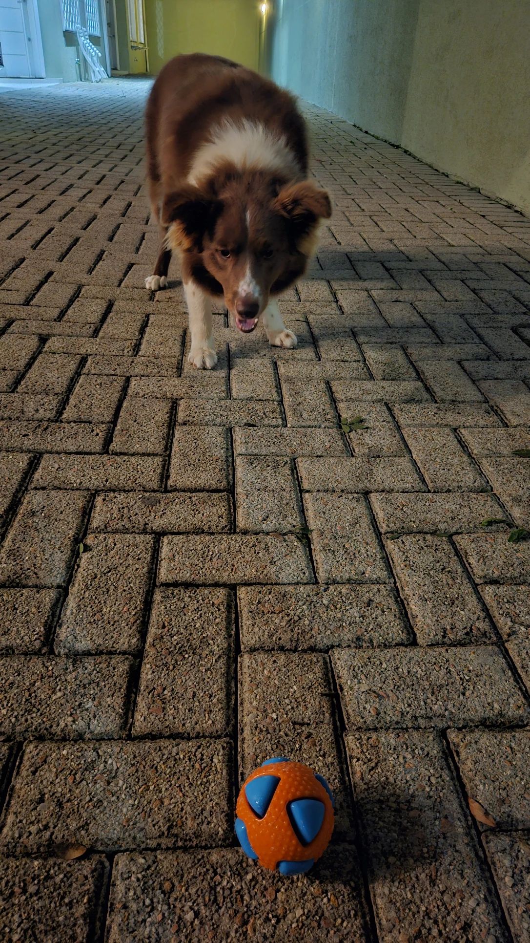 image-12