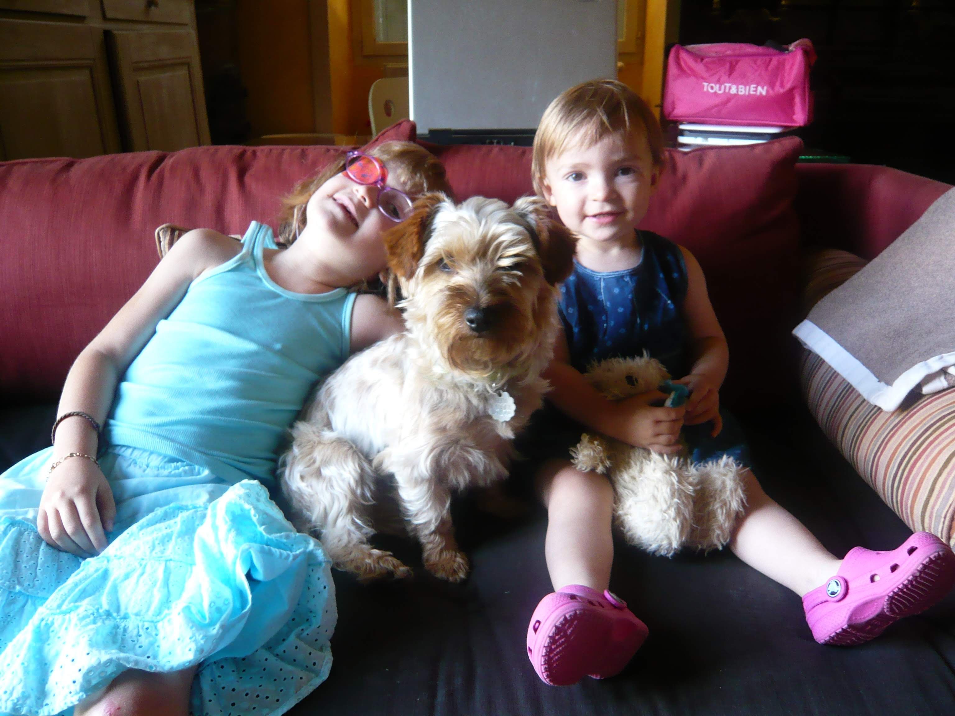 image-7