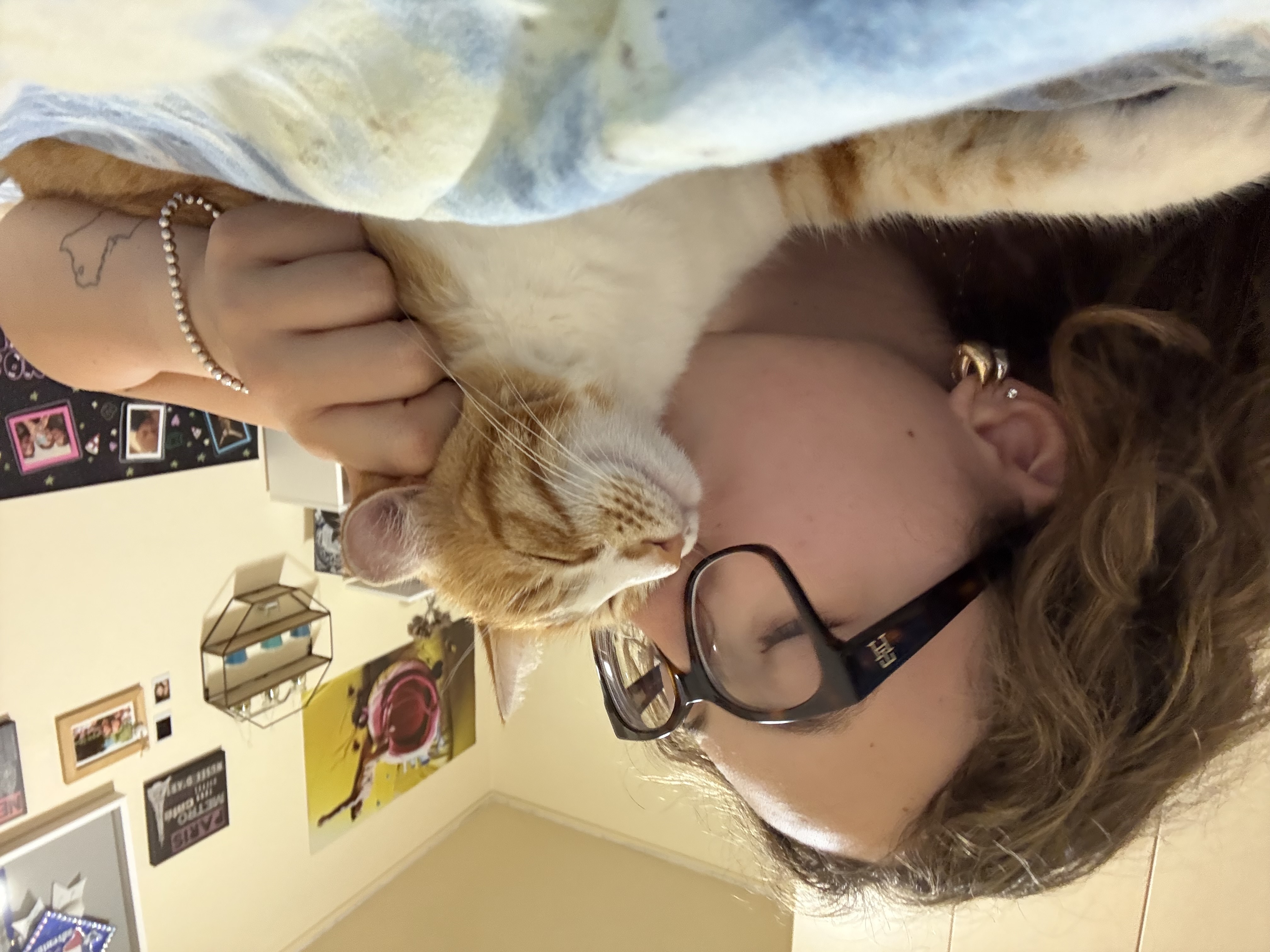 image-7