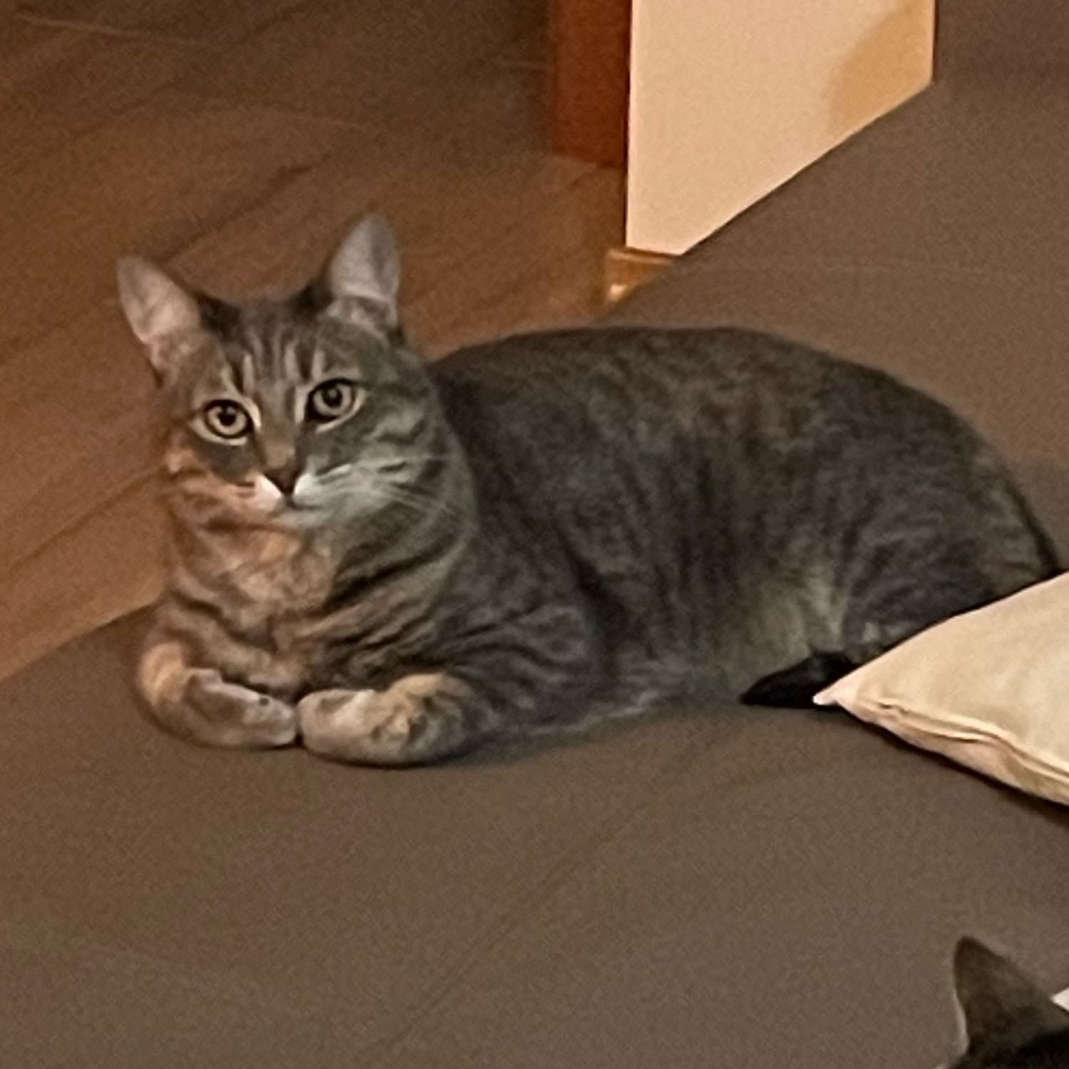 Sid