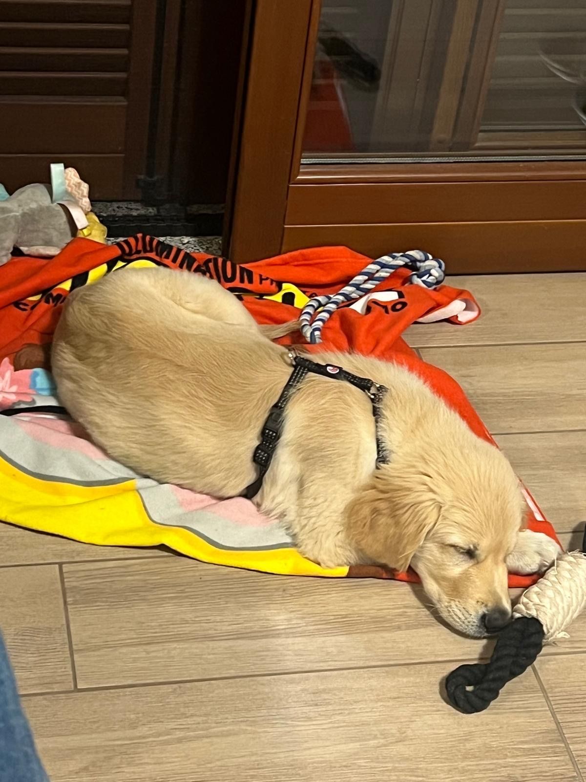image-12