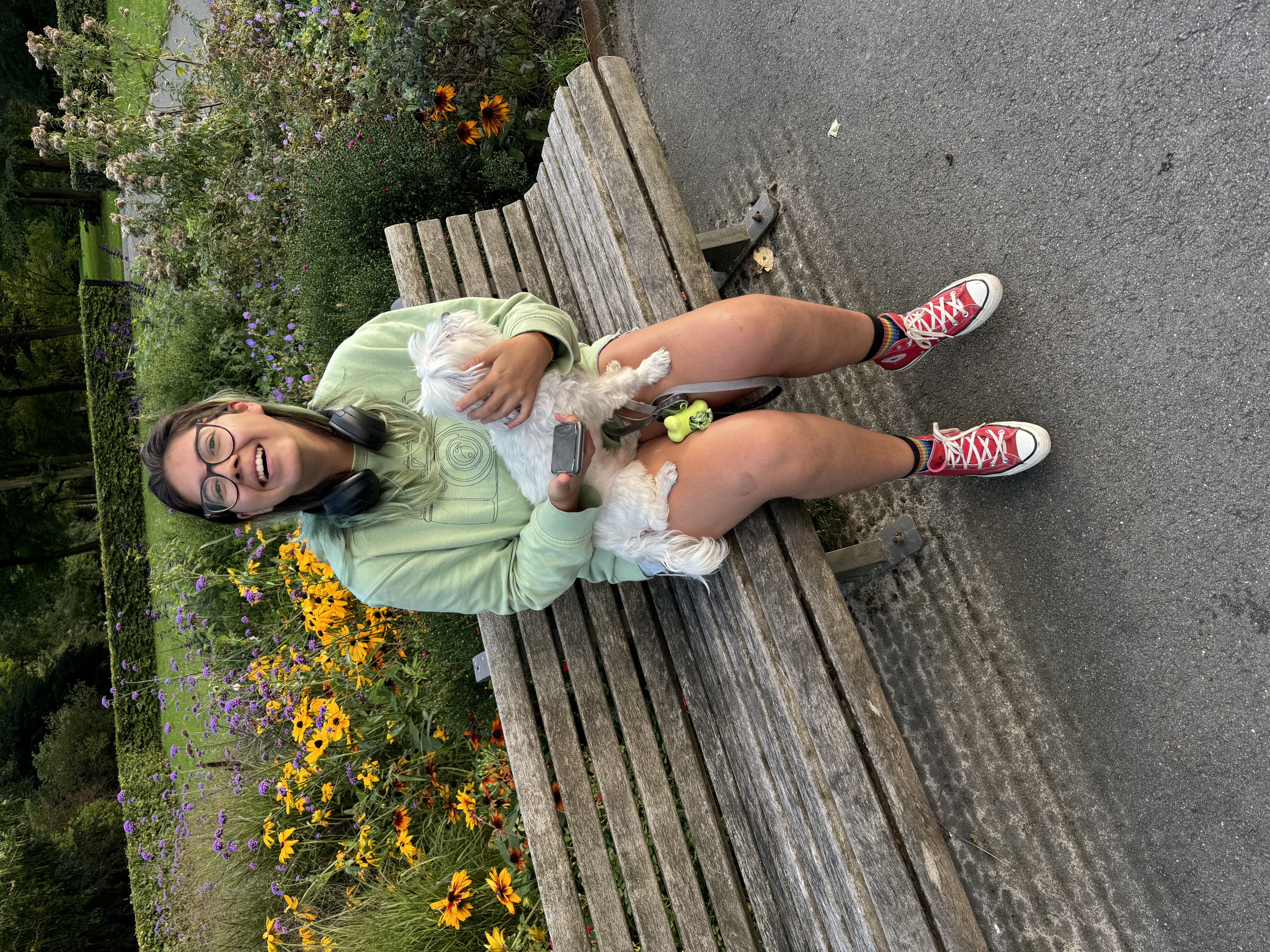 image-7