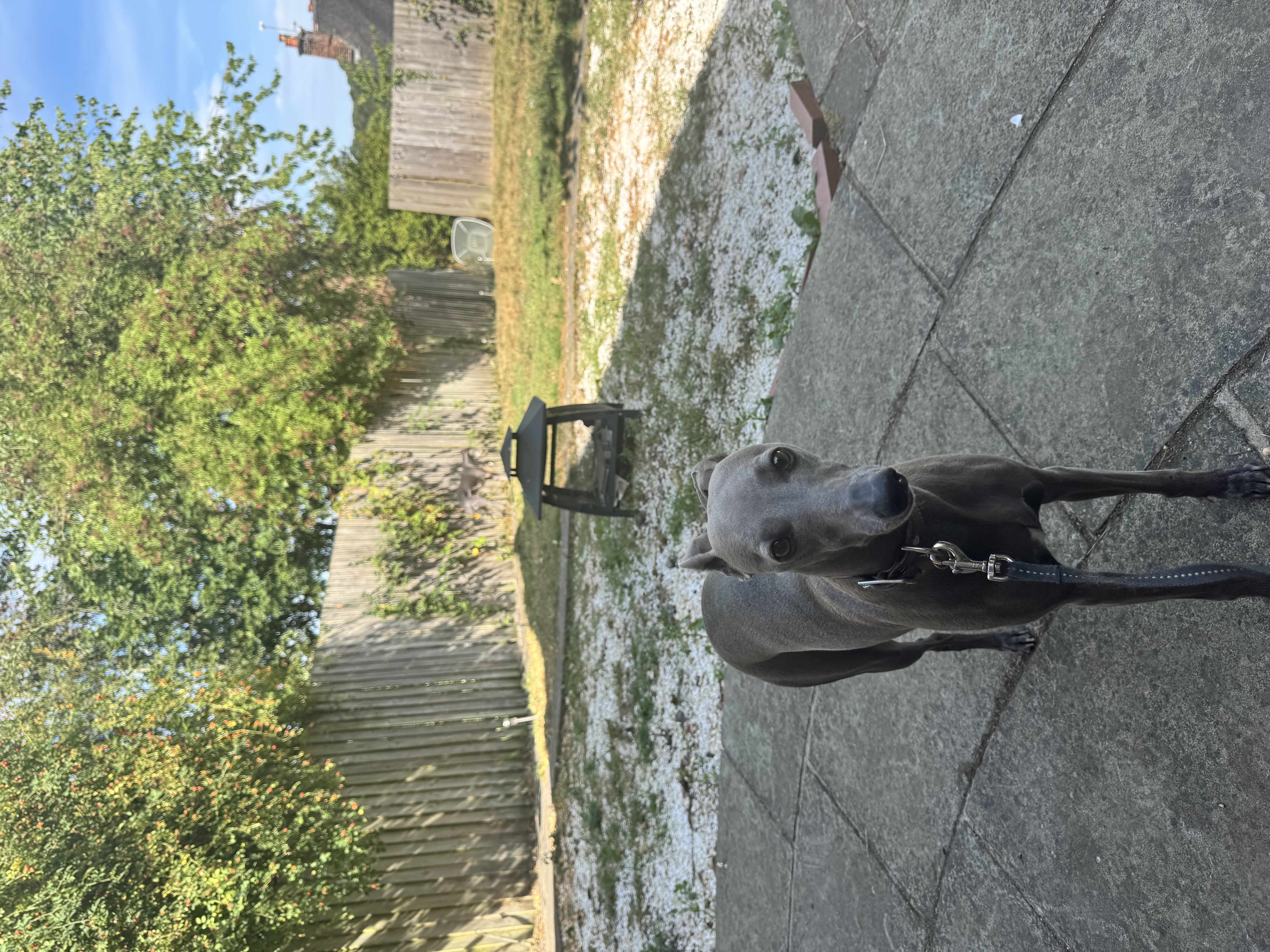 image-18