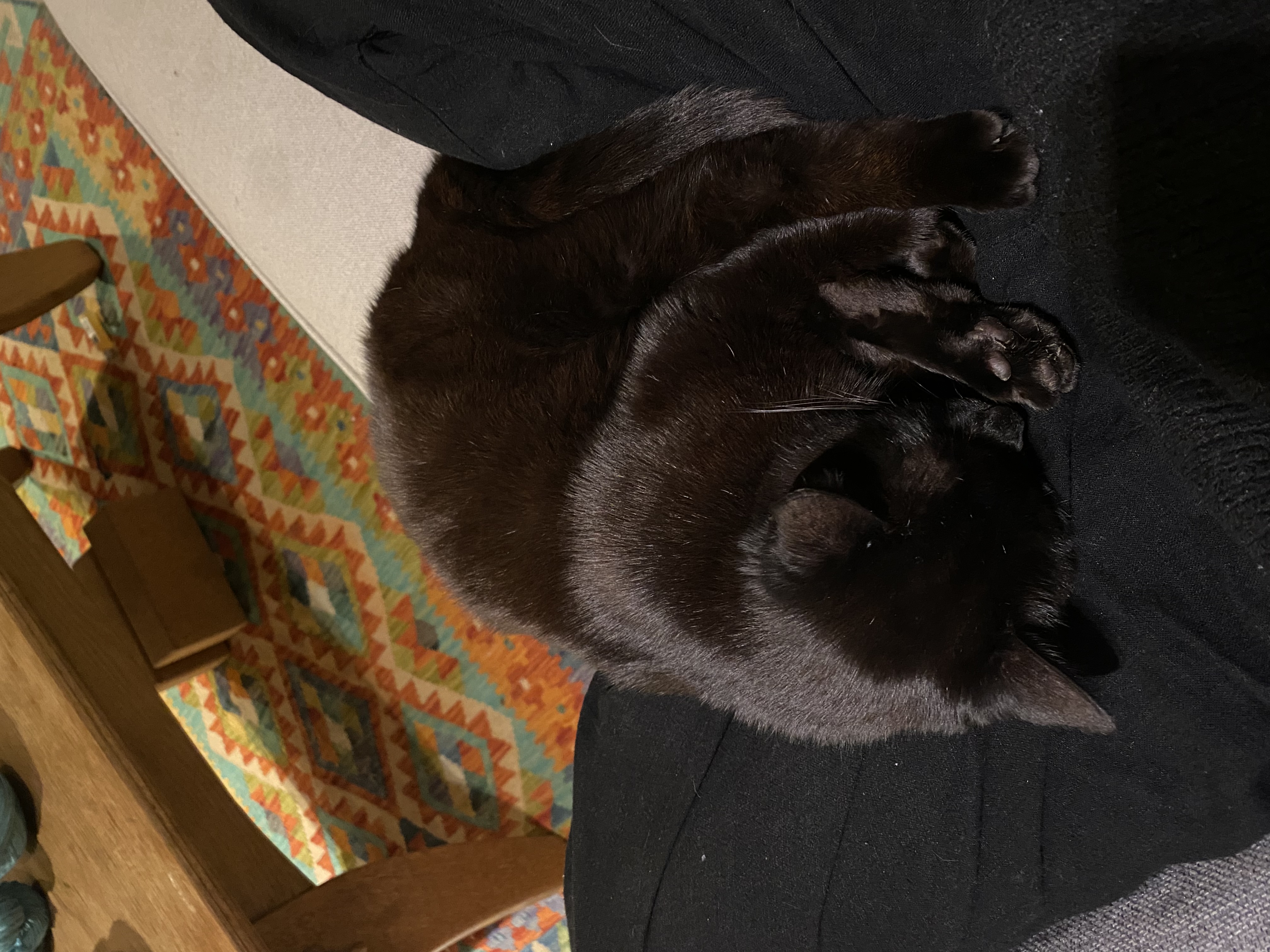 image-14