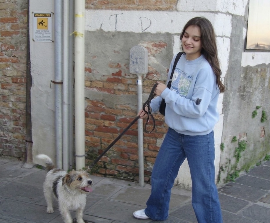 image-13