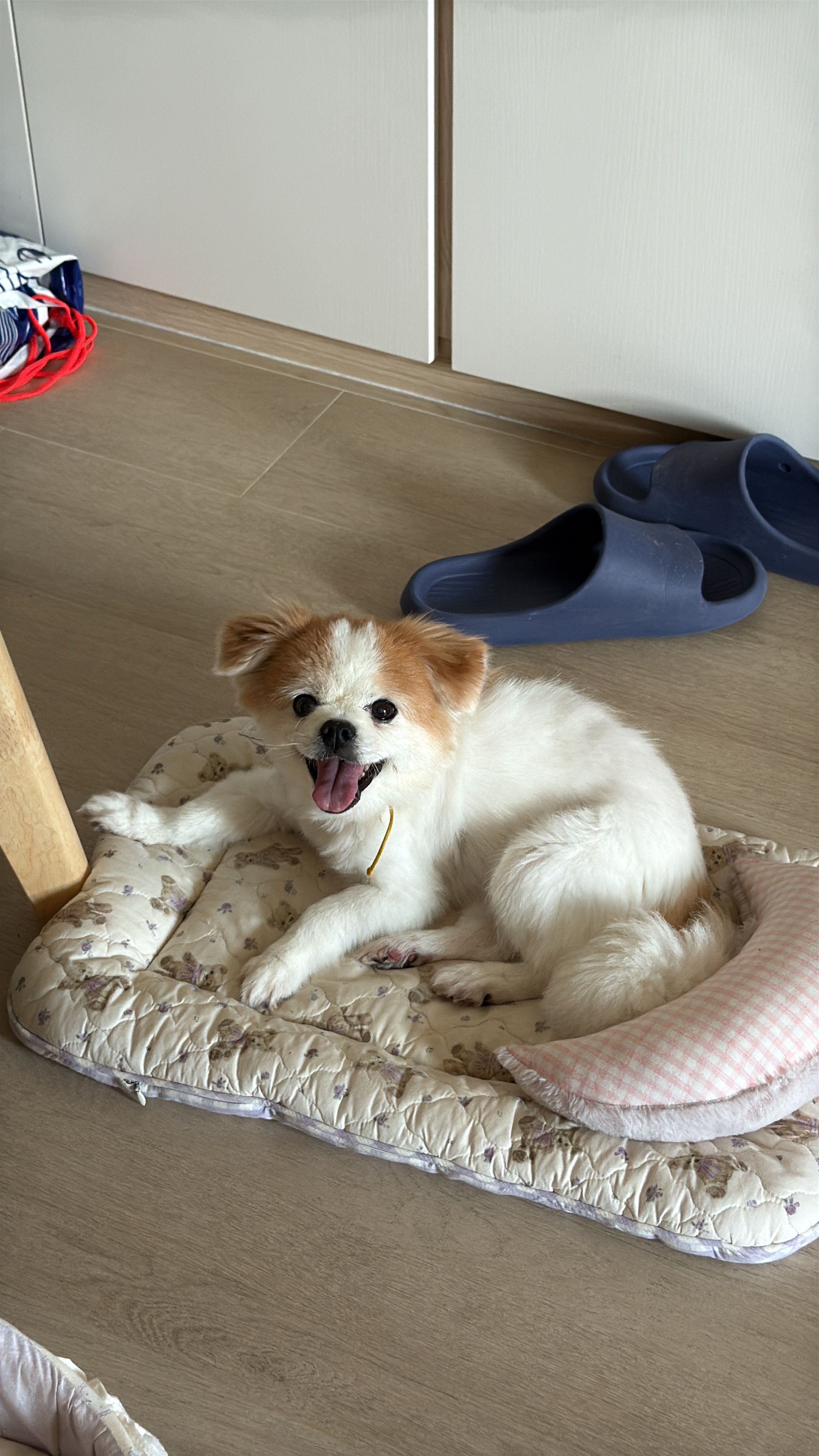 image-11
