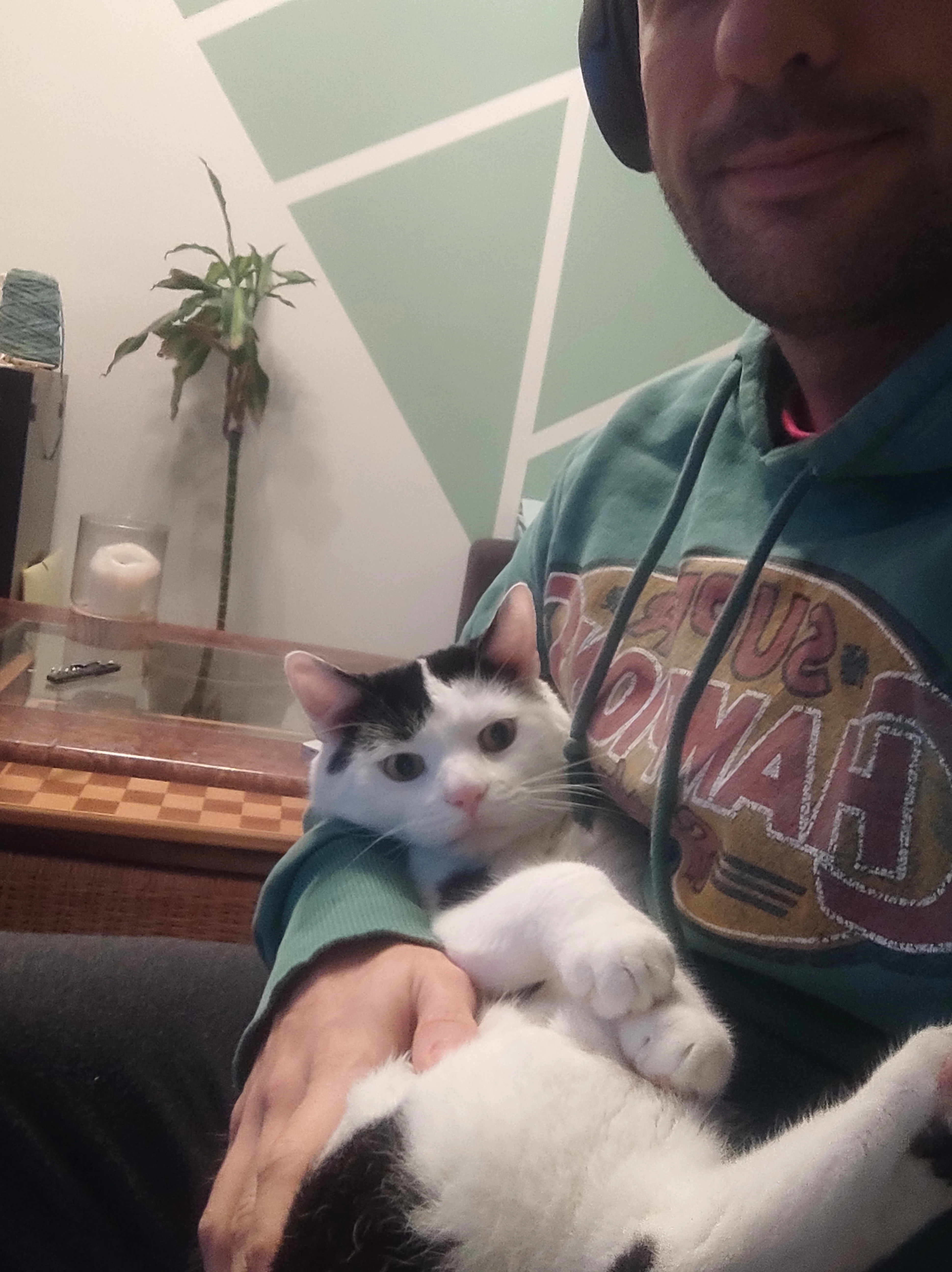 image-6