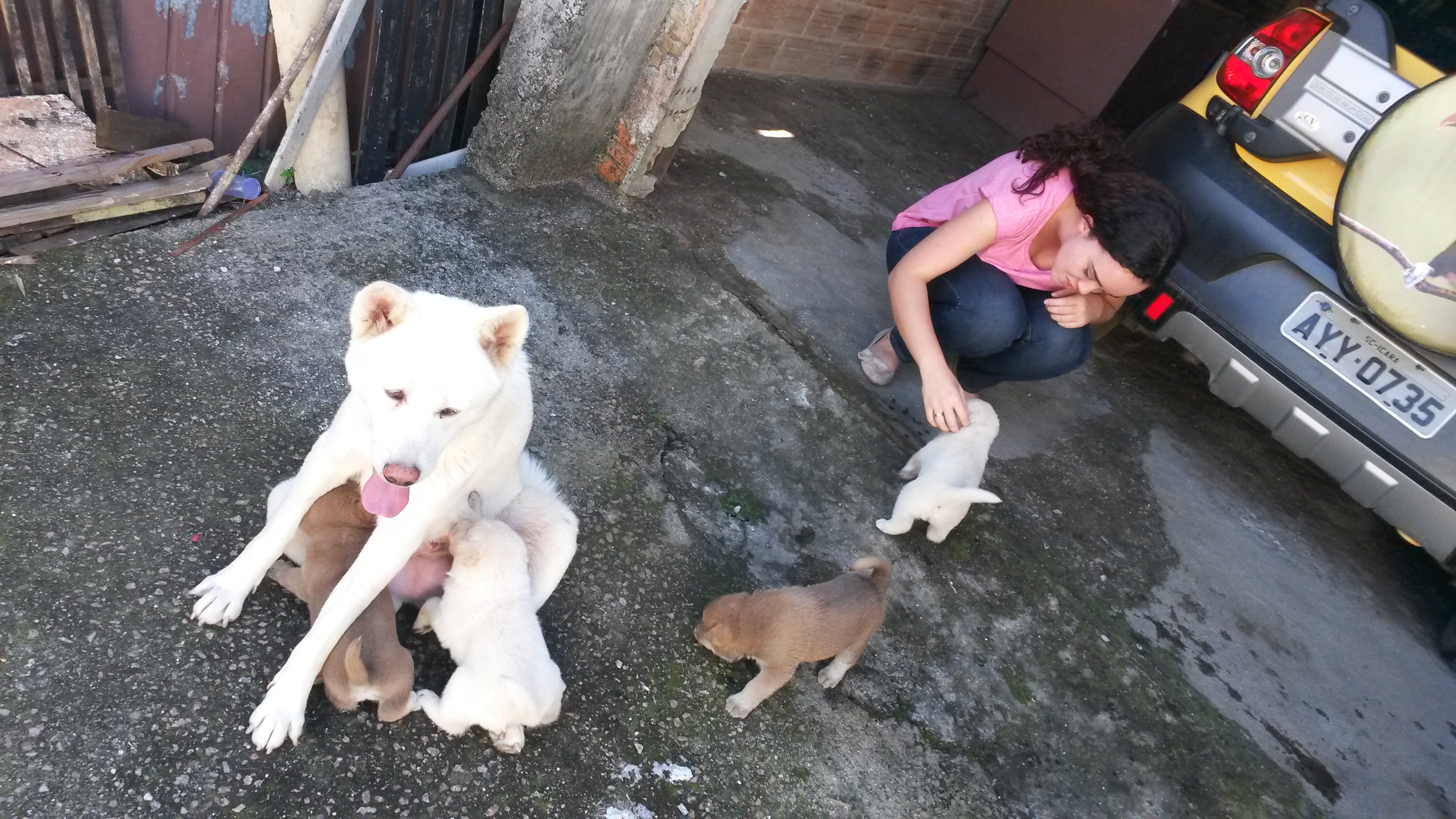 image-9