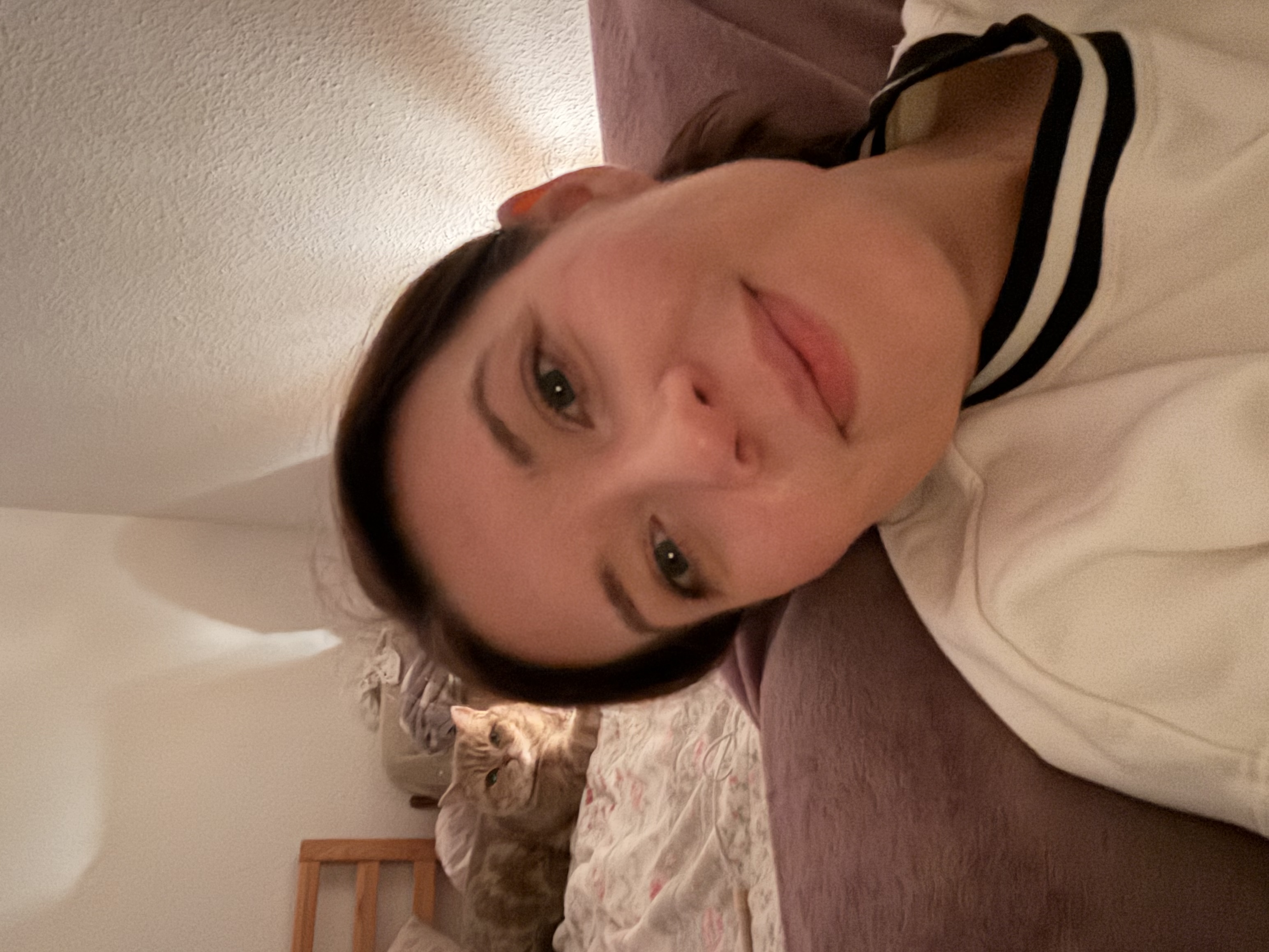 image-7