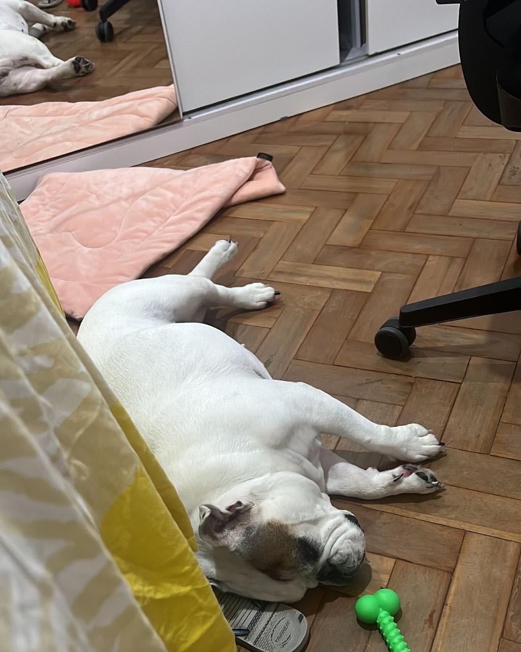 image-12