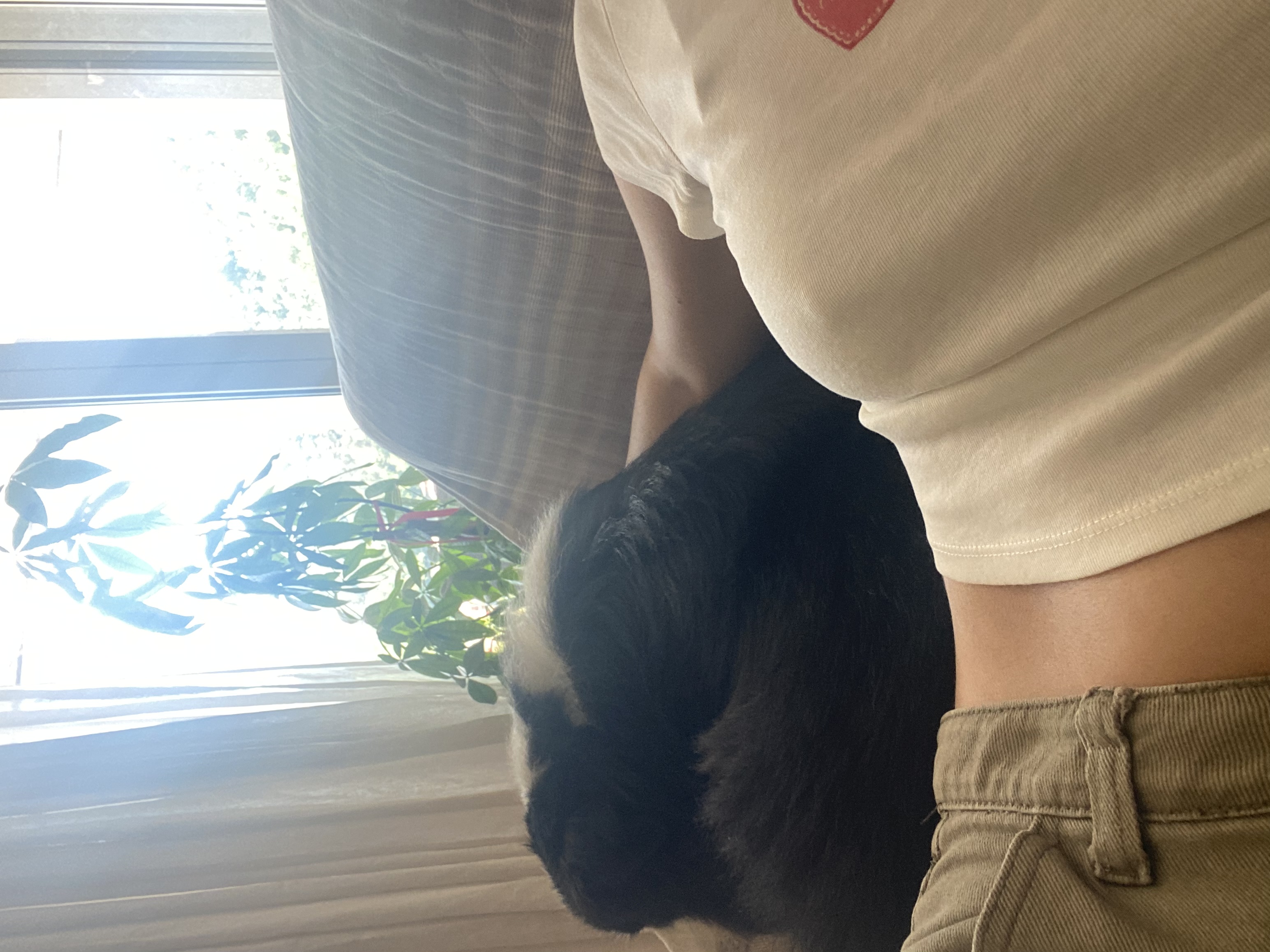 image-7