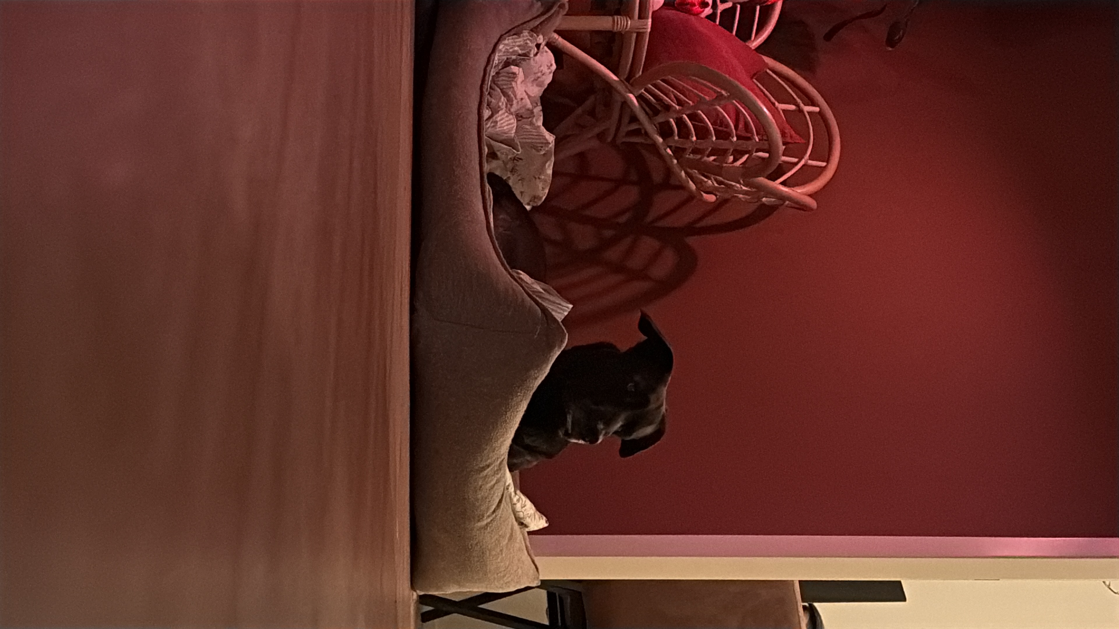 image-8