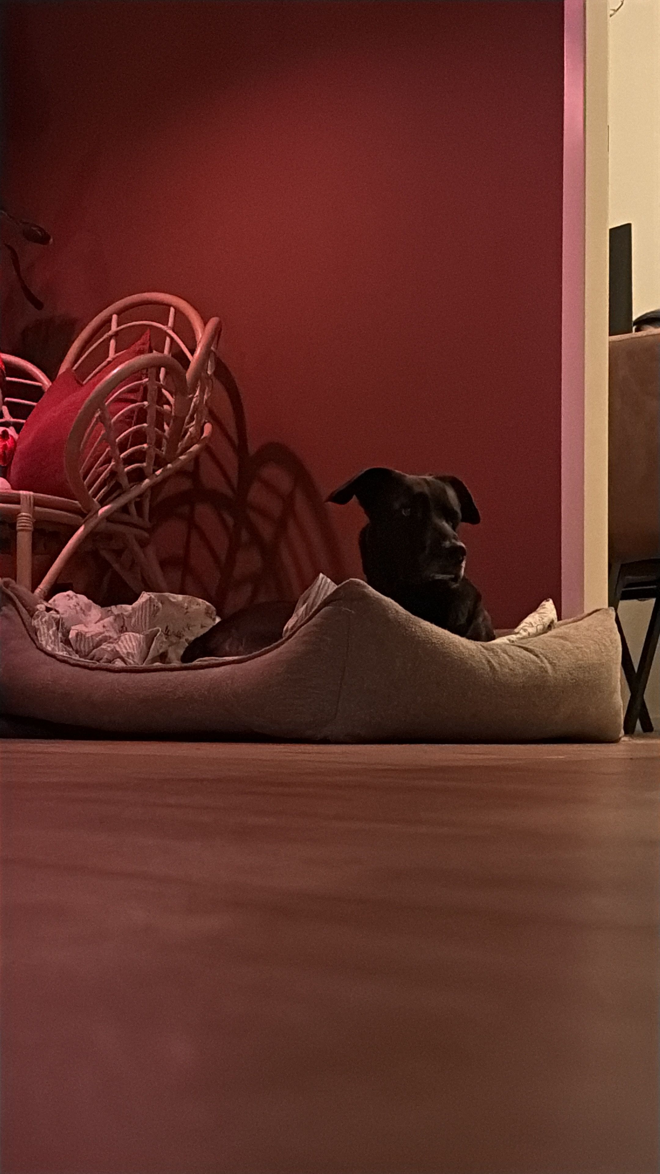 image-8