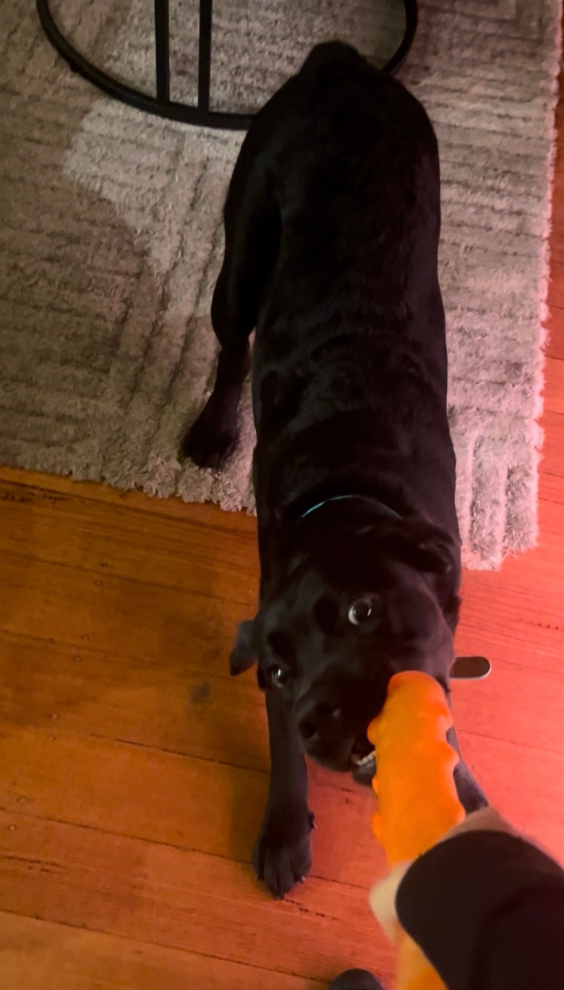 image-8