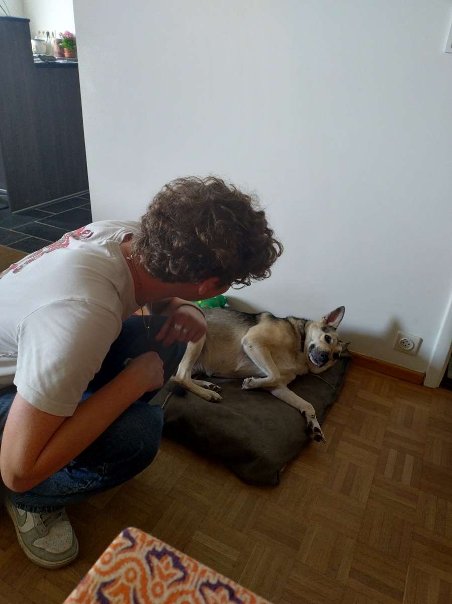 image-14