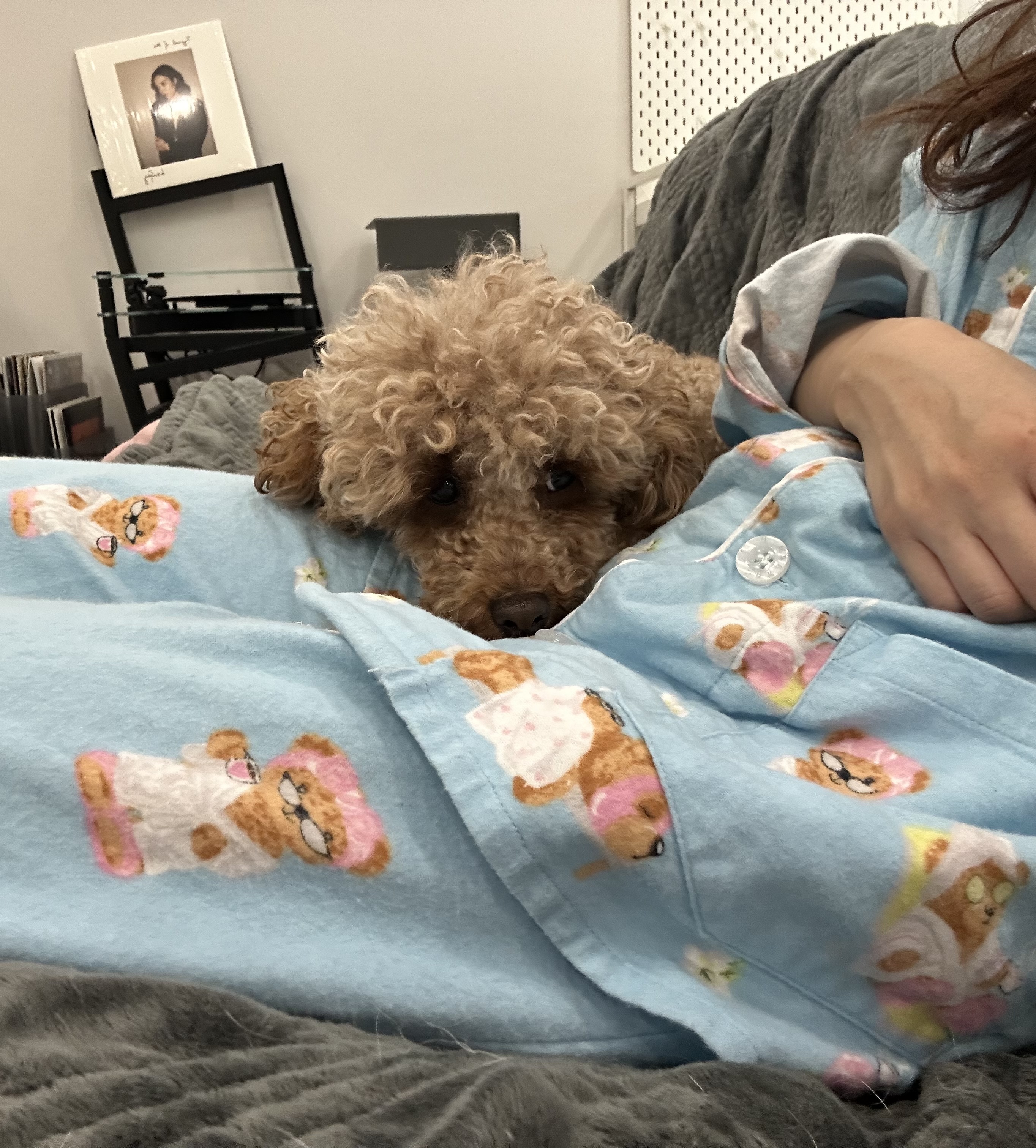 image-9