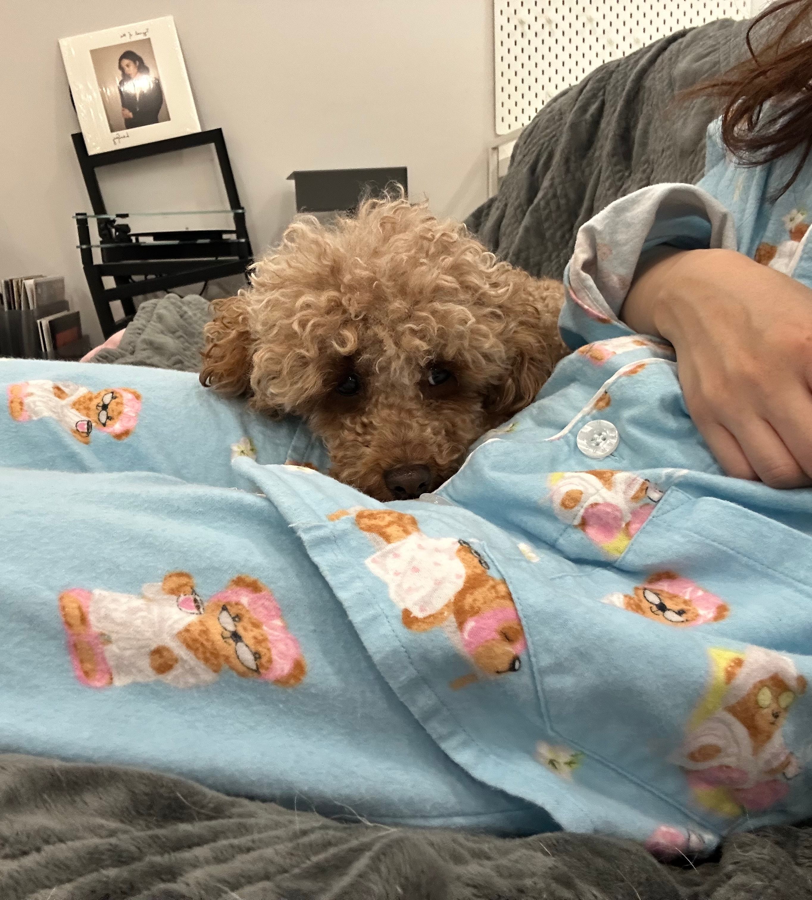 image-9