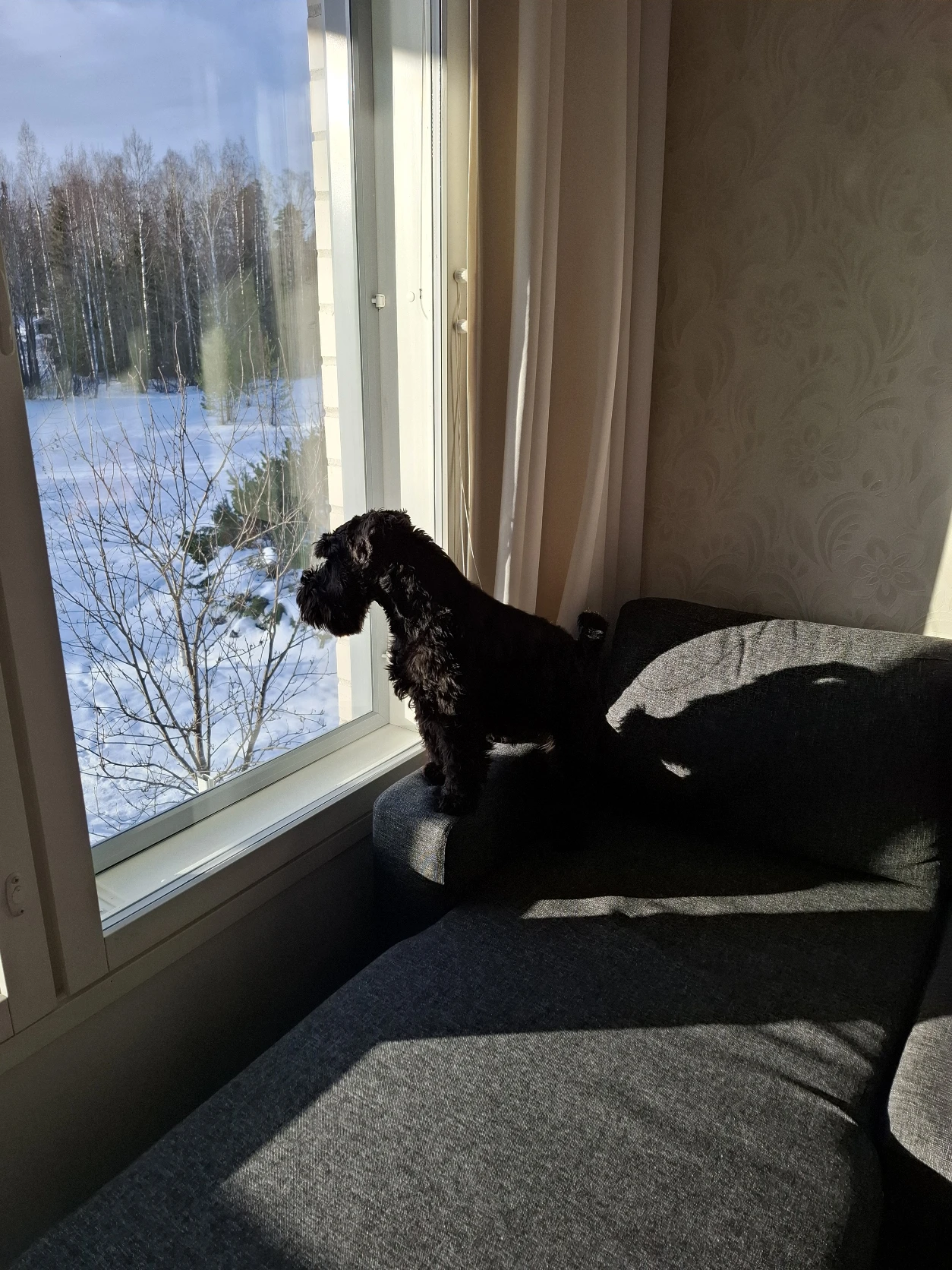 image-5