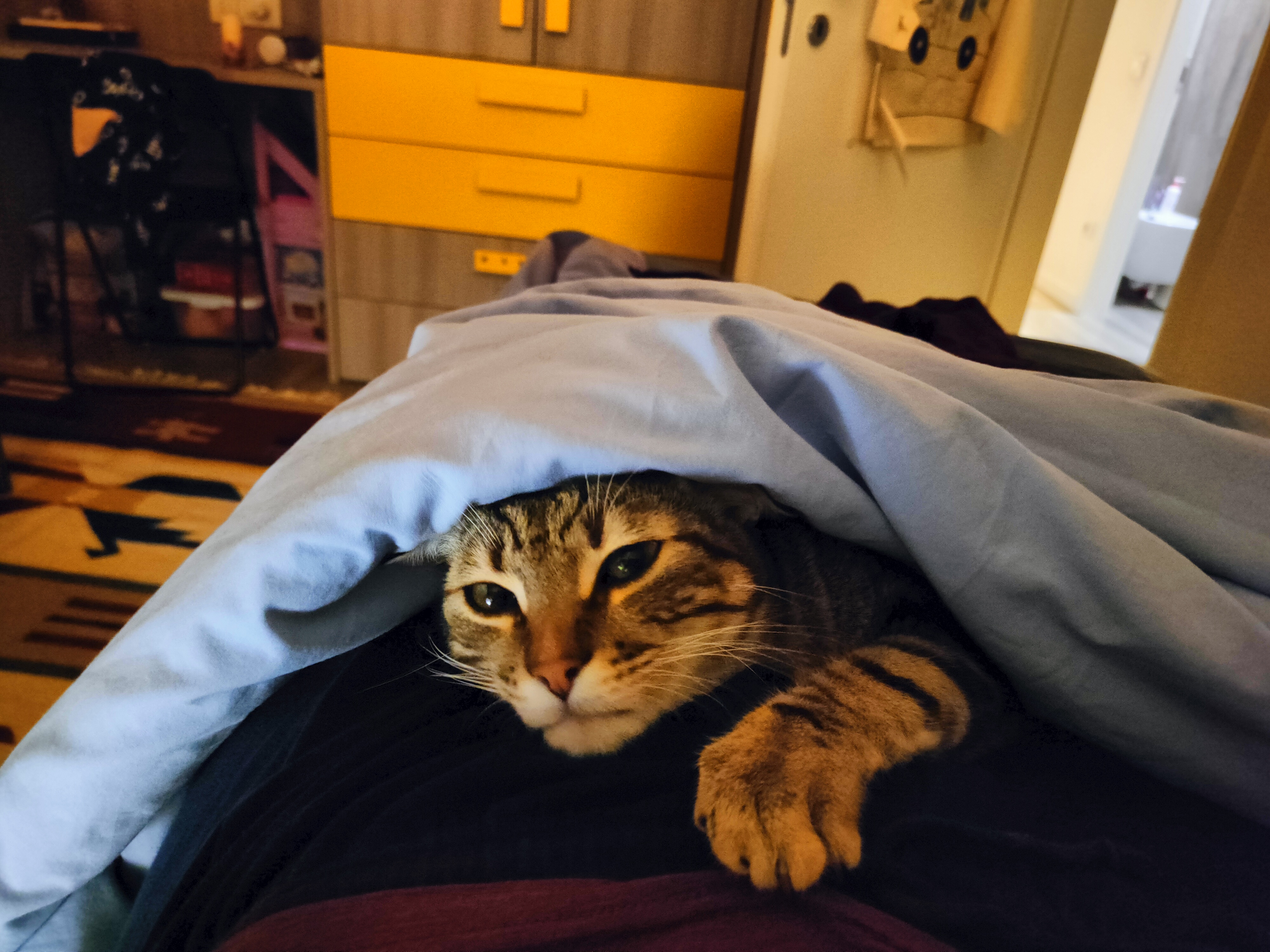 image-8