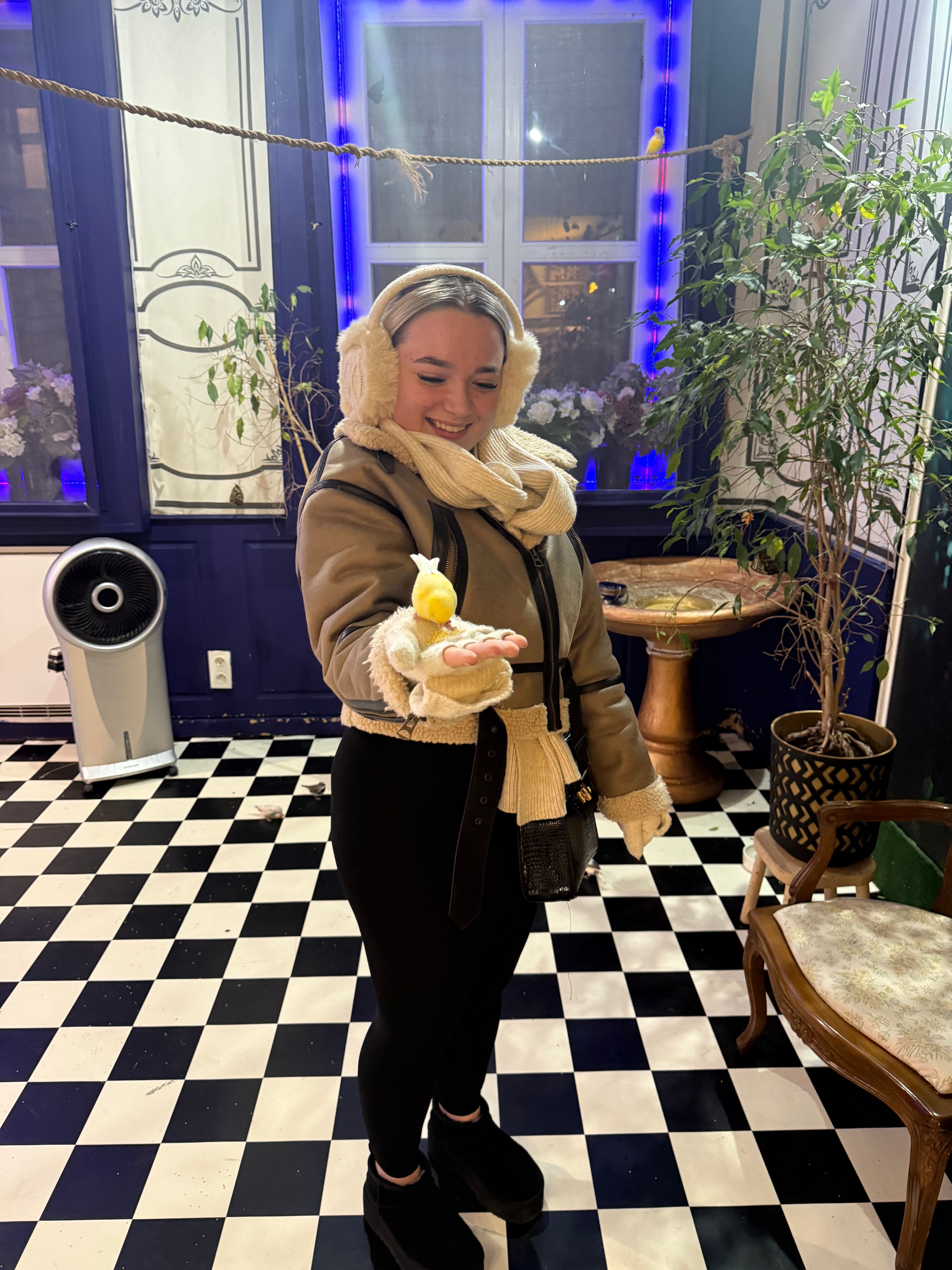 image-6