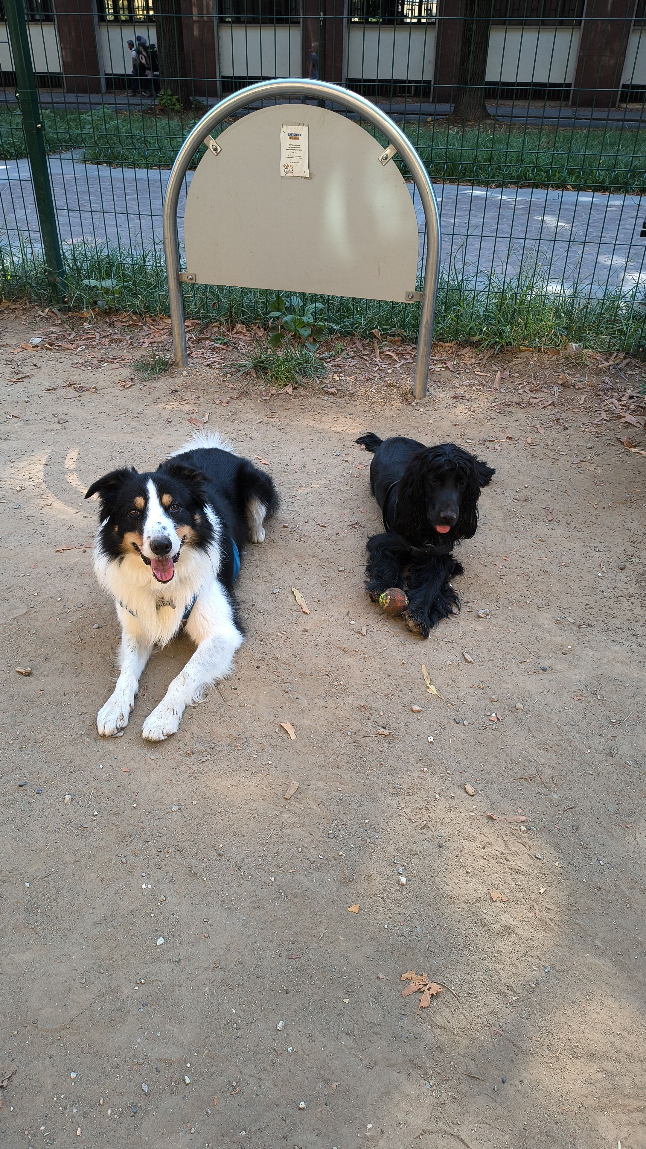 image-7