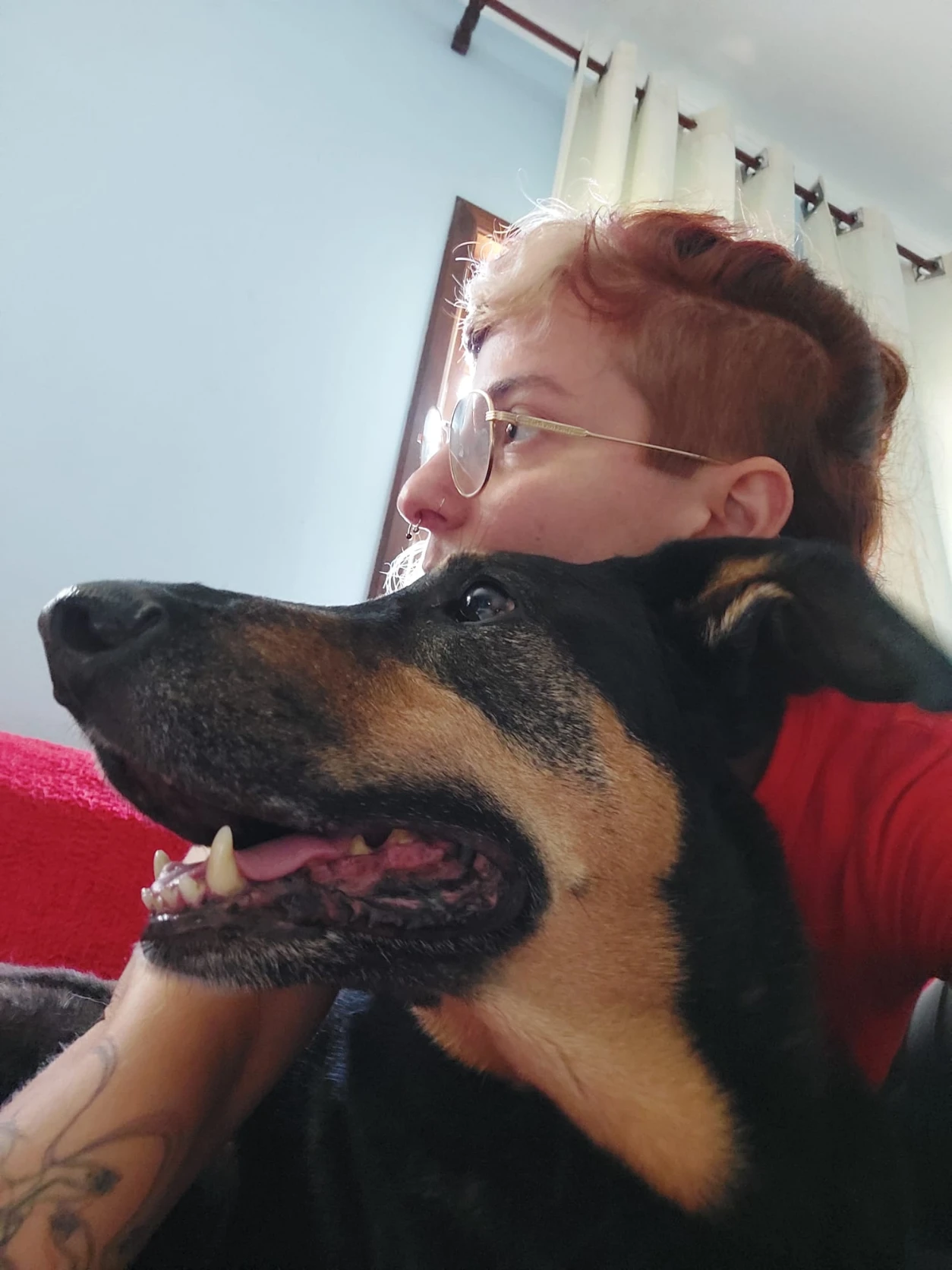 image-5