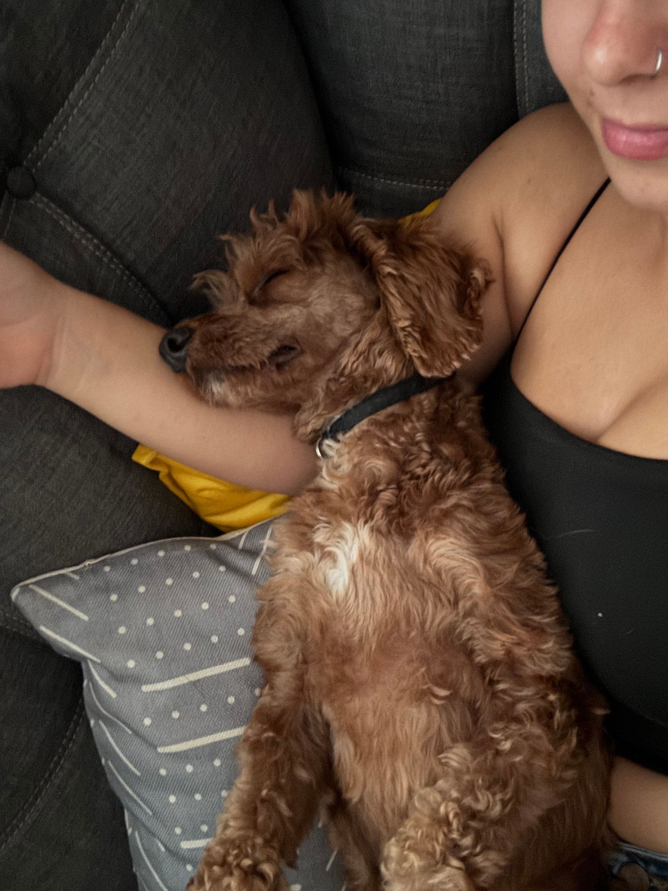 image-21