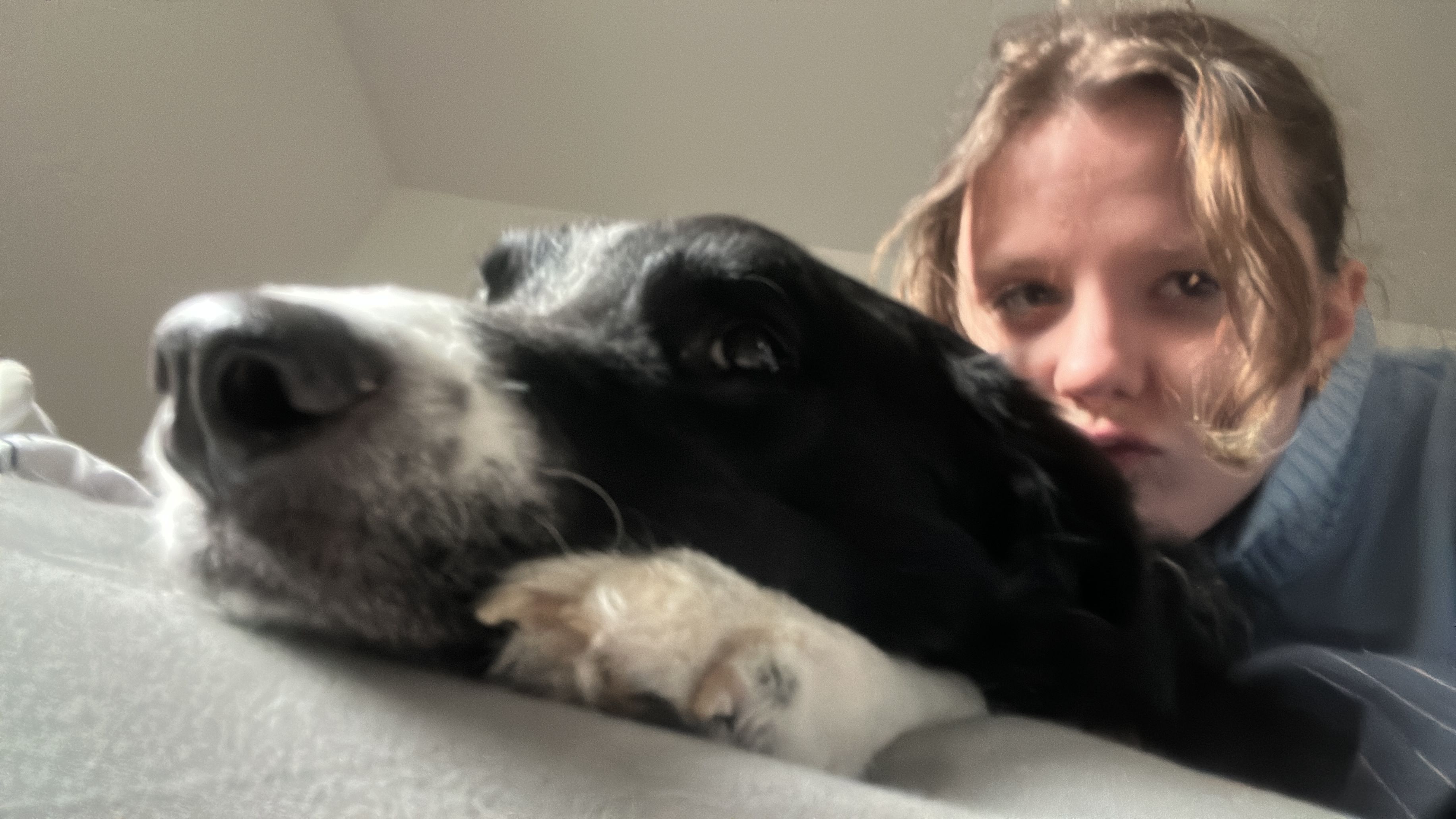 image-2