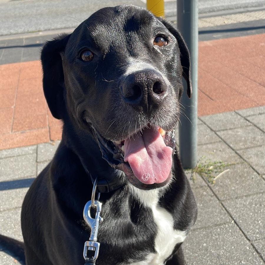 Cooper (overleden)