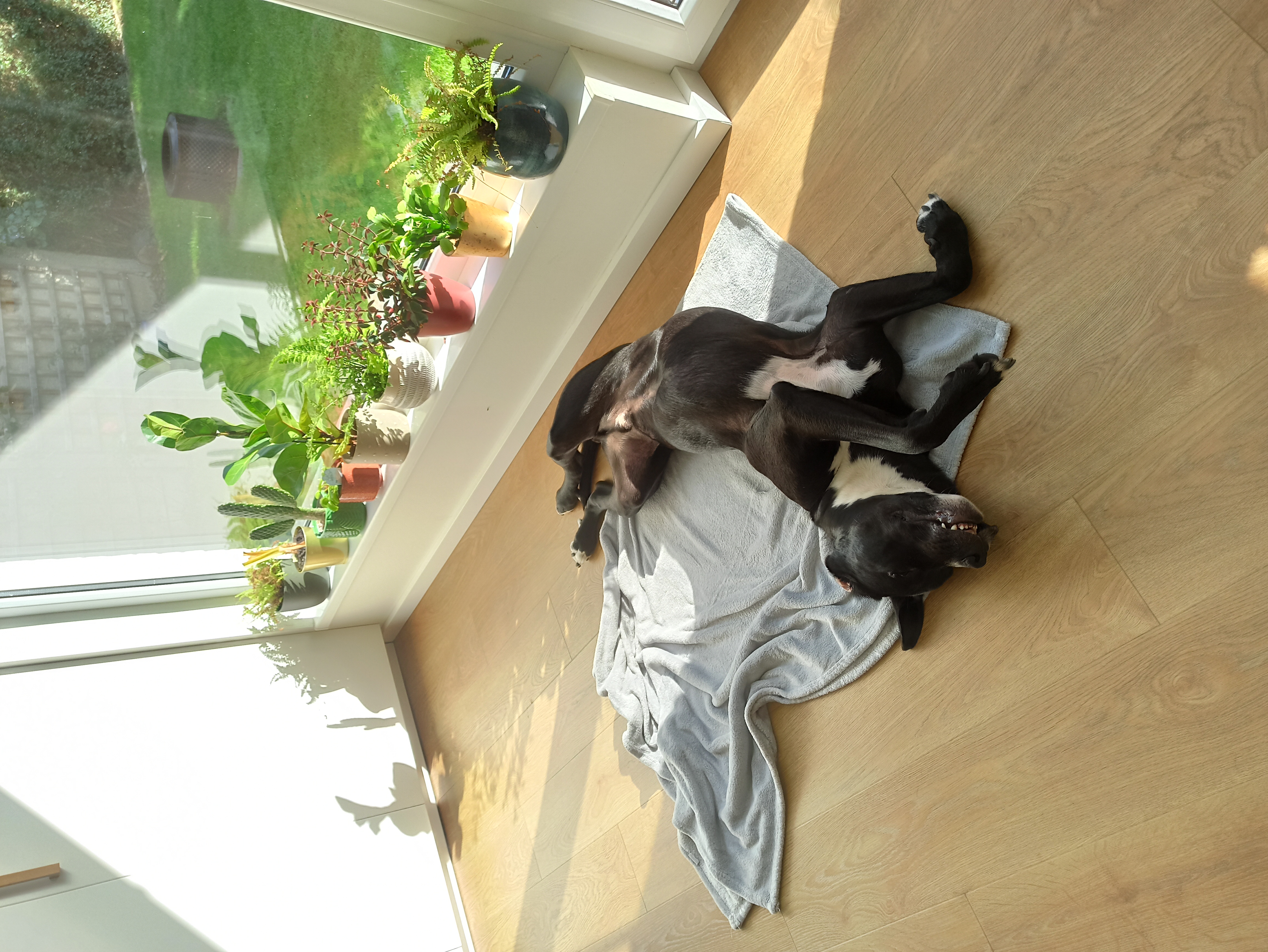 image-6