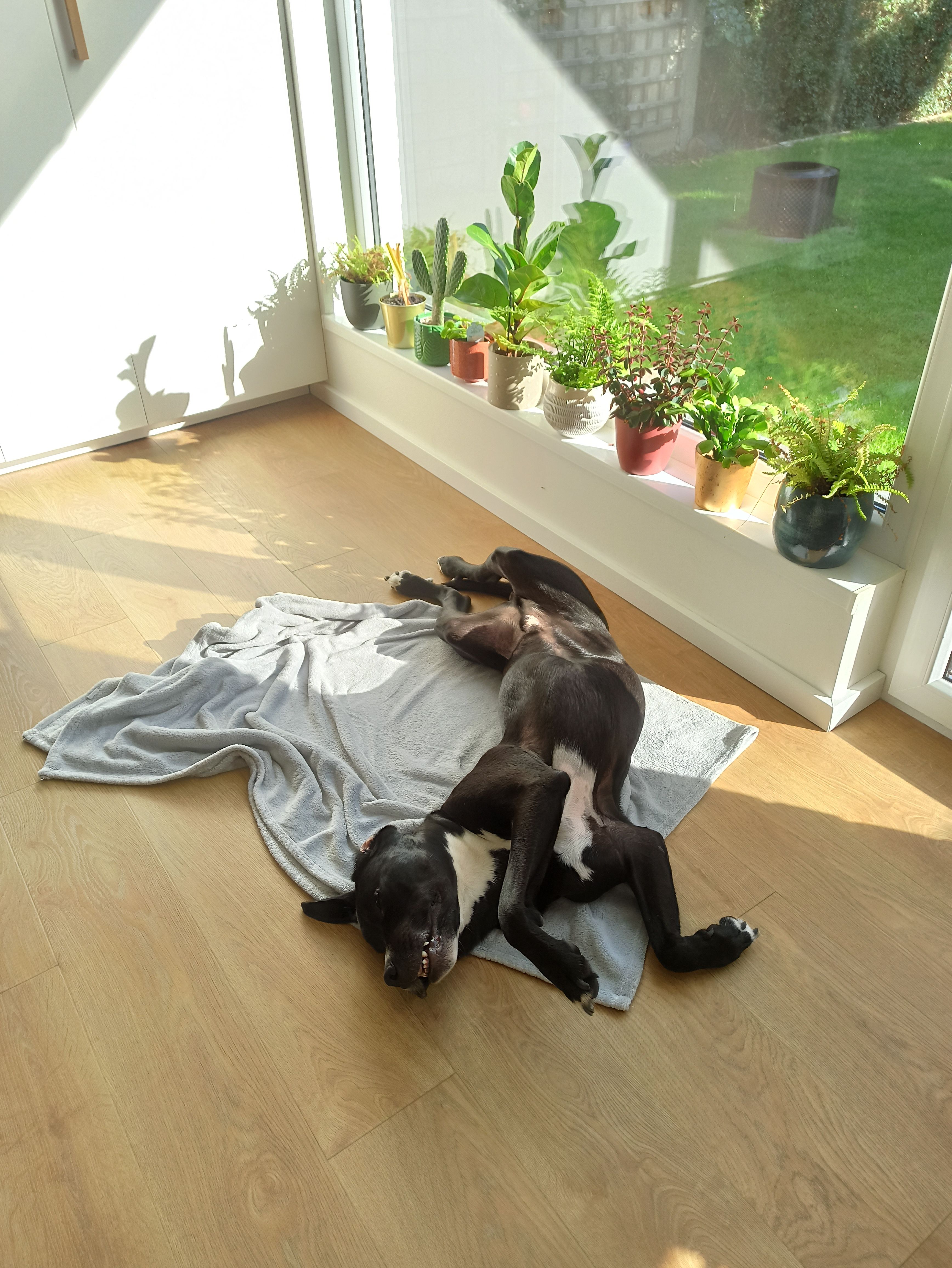 image-6