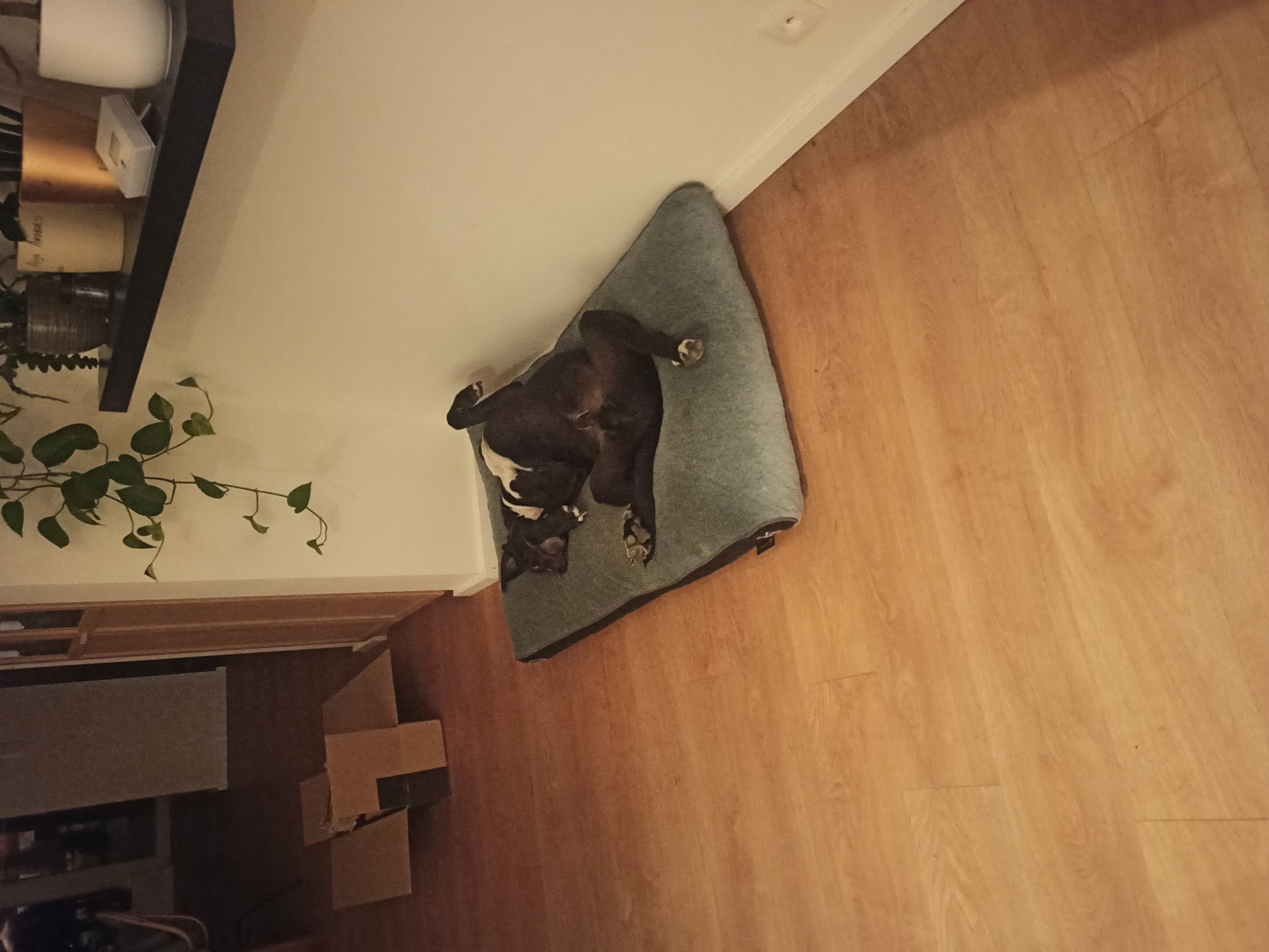 image-5