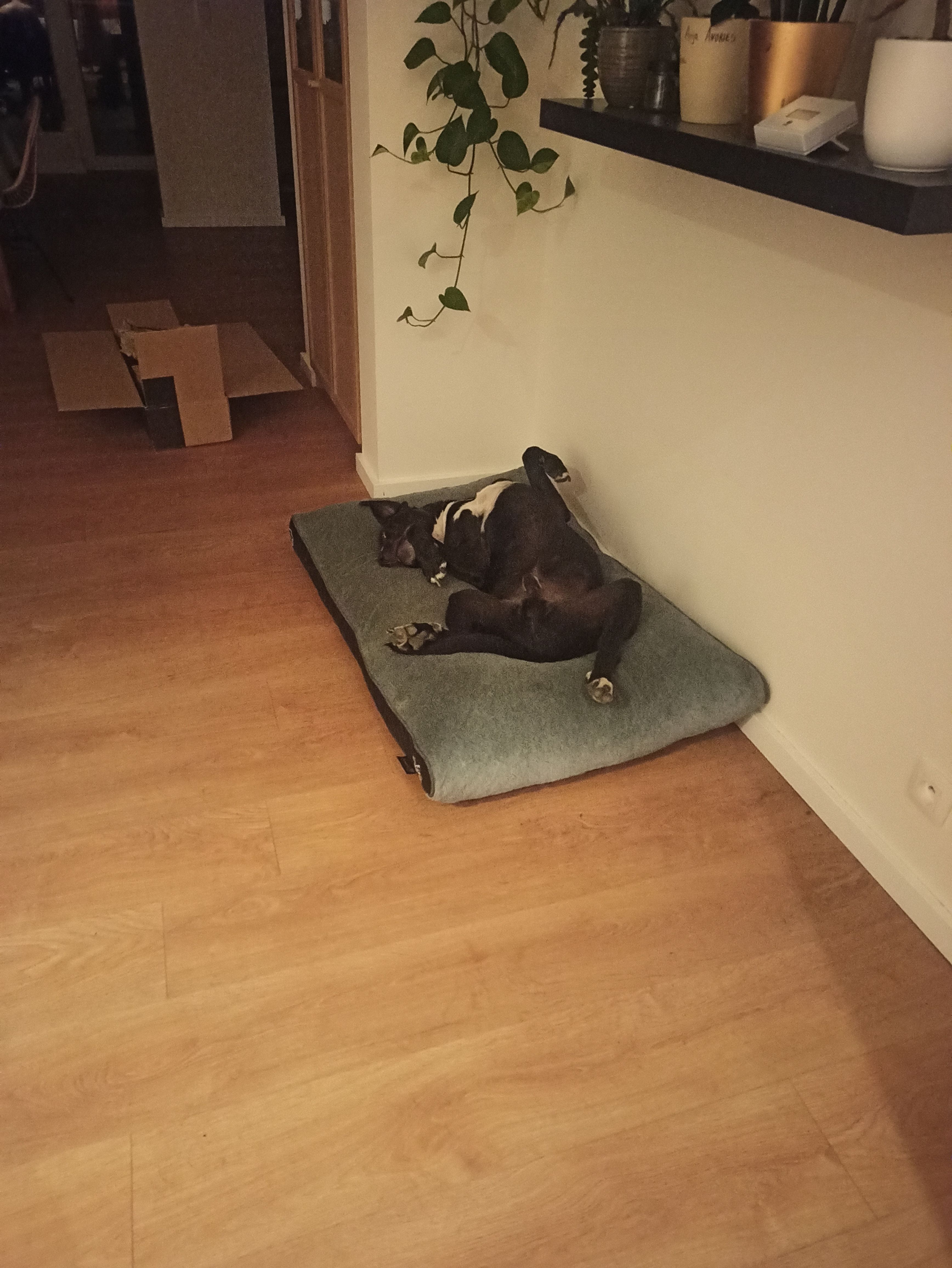 image-5