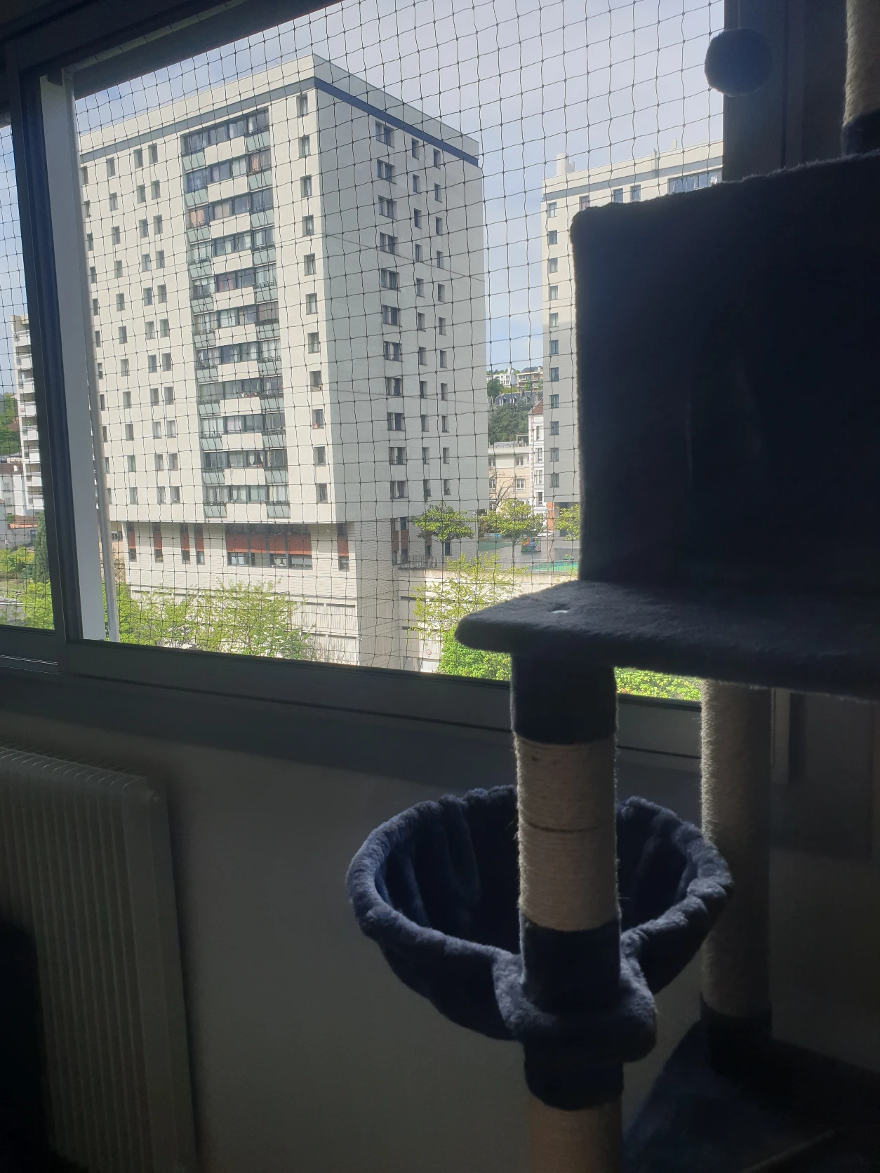 image-16