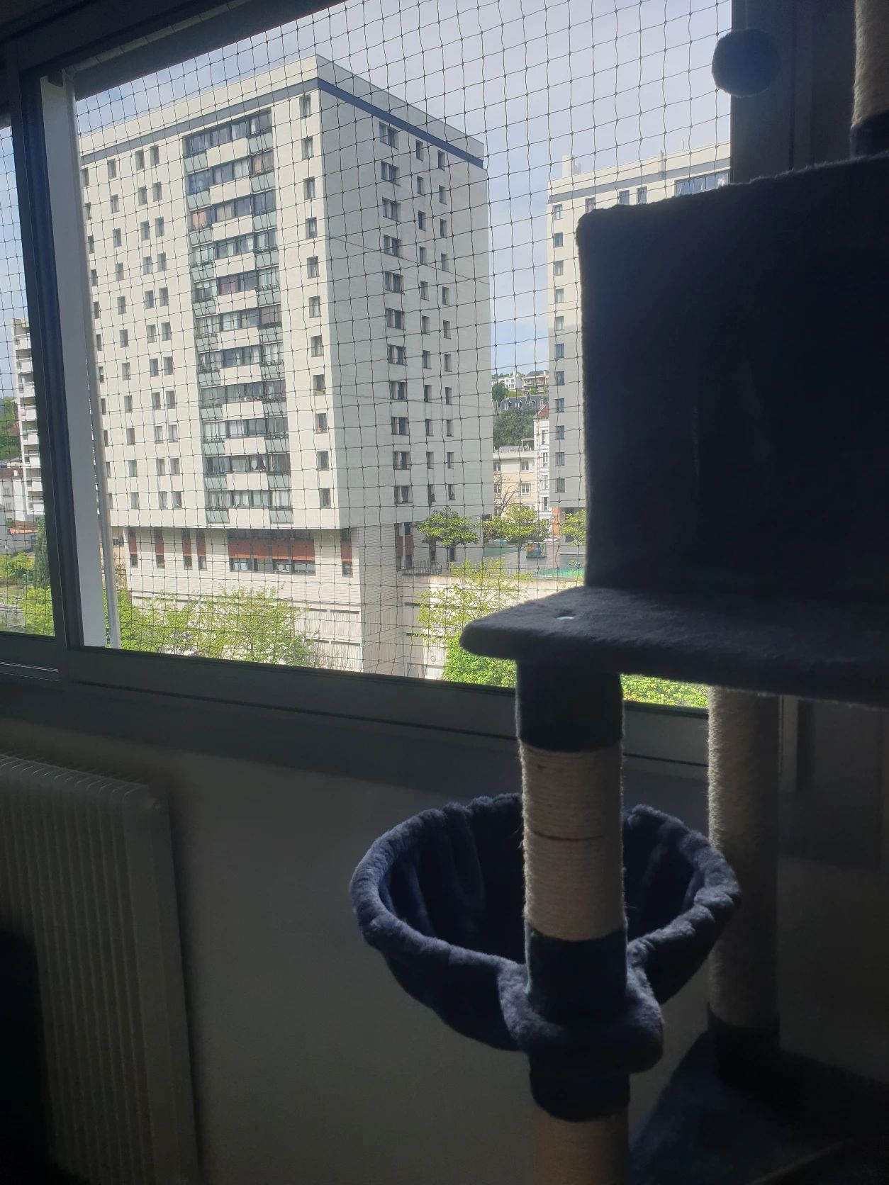 image-16