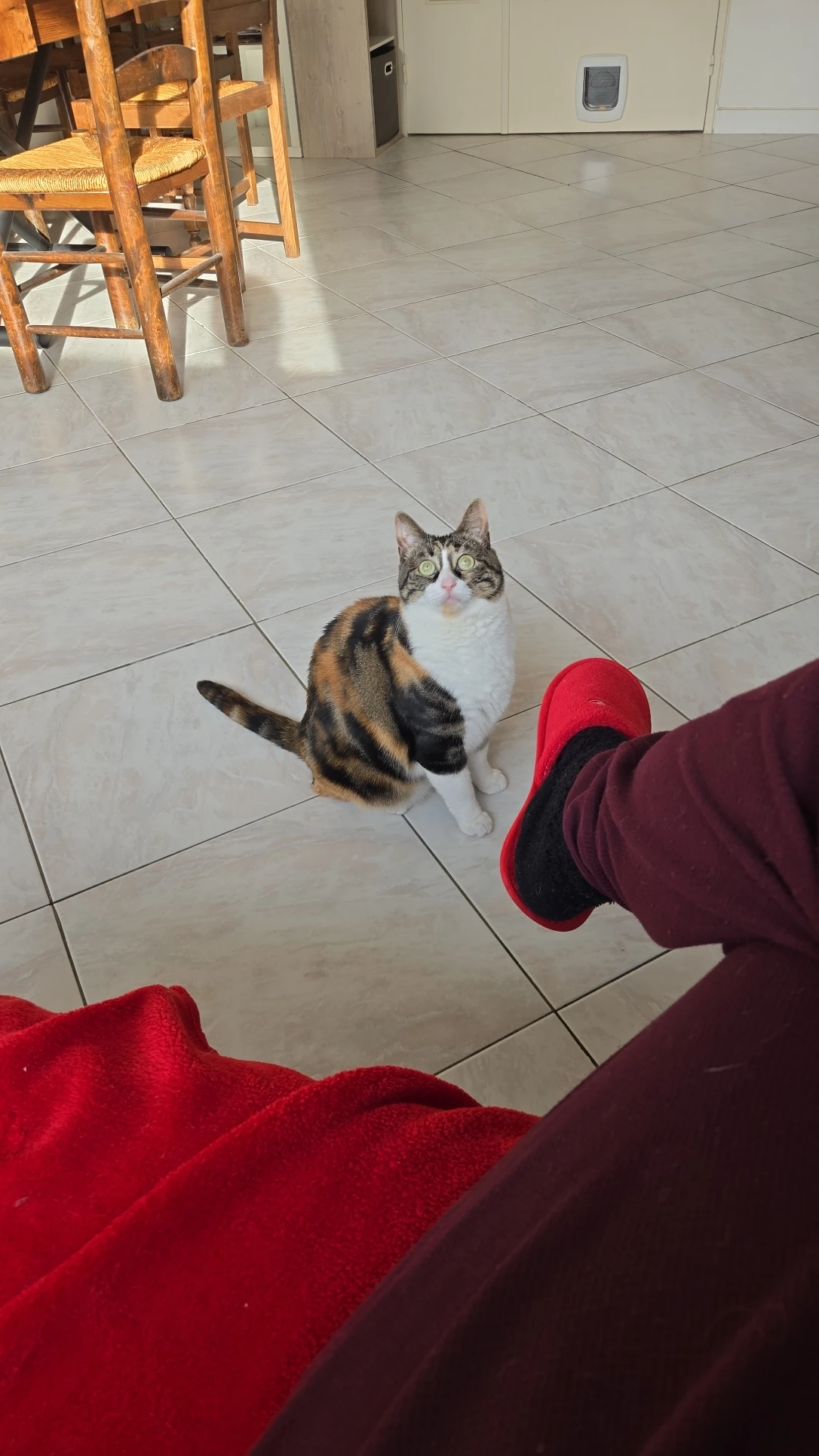 image-13