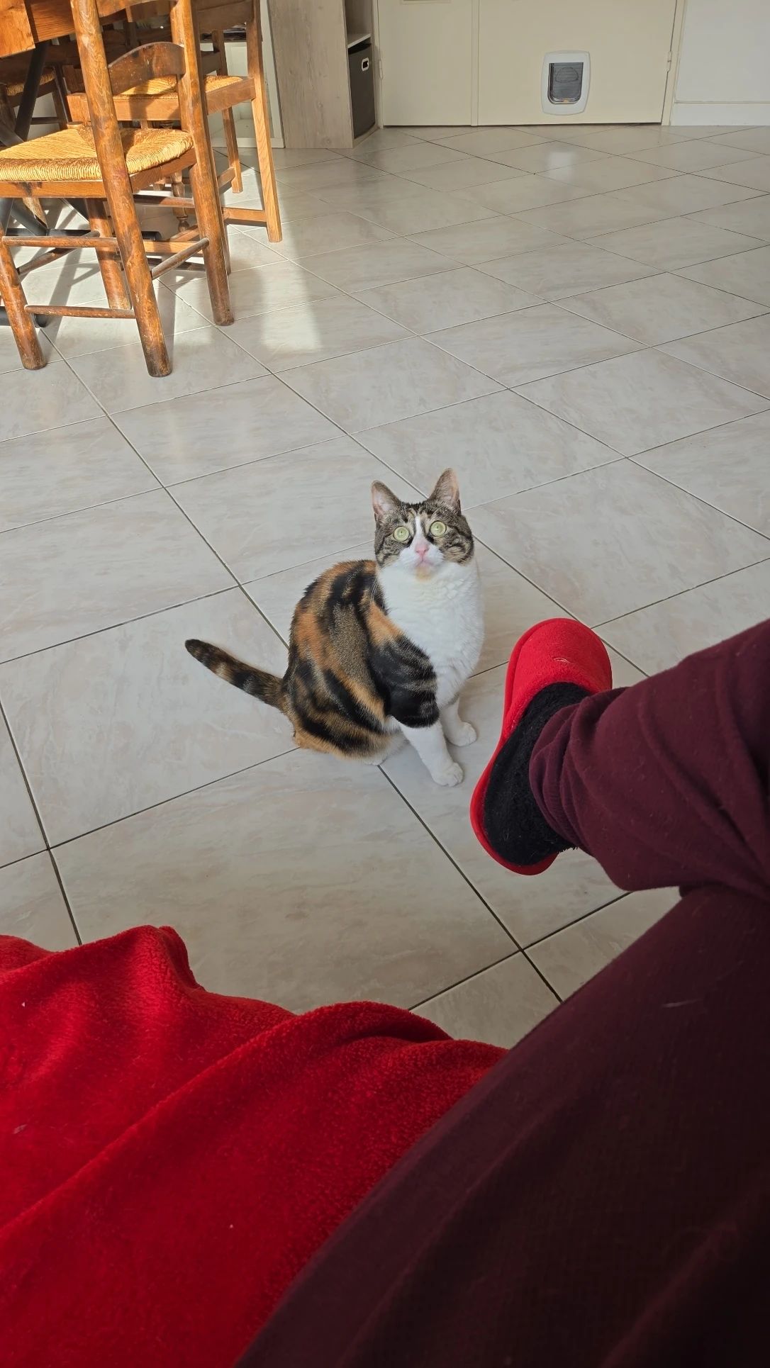 image-13