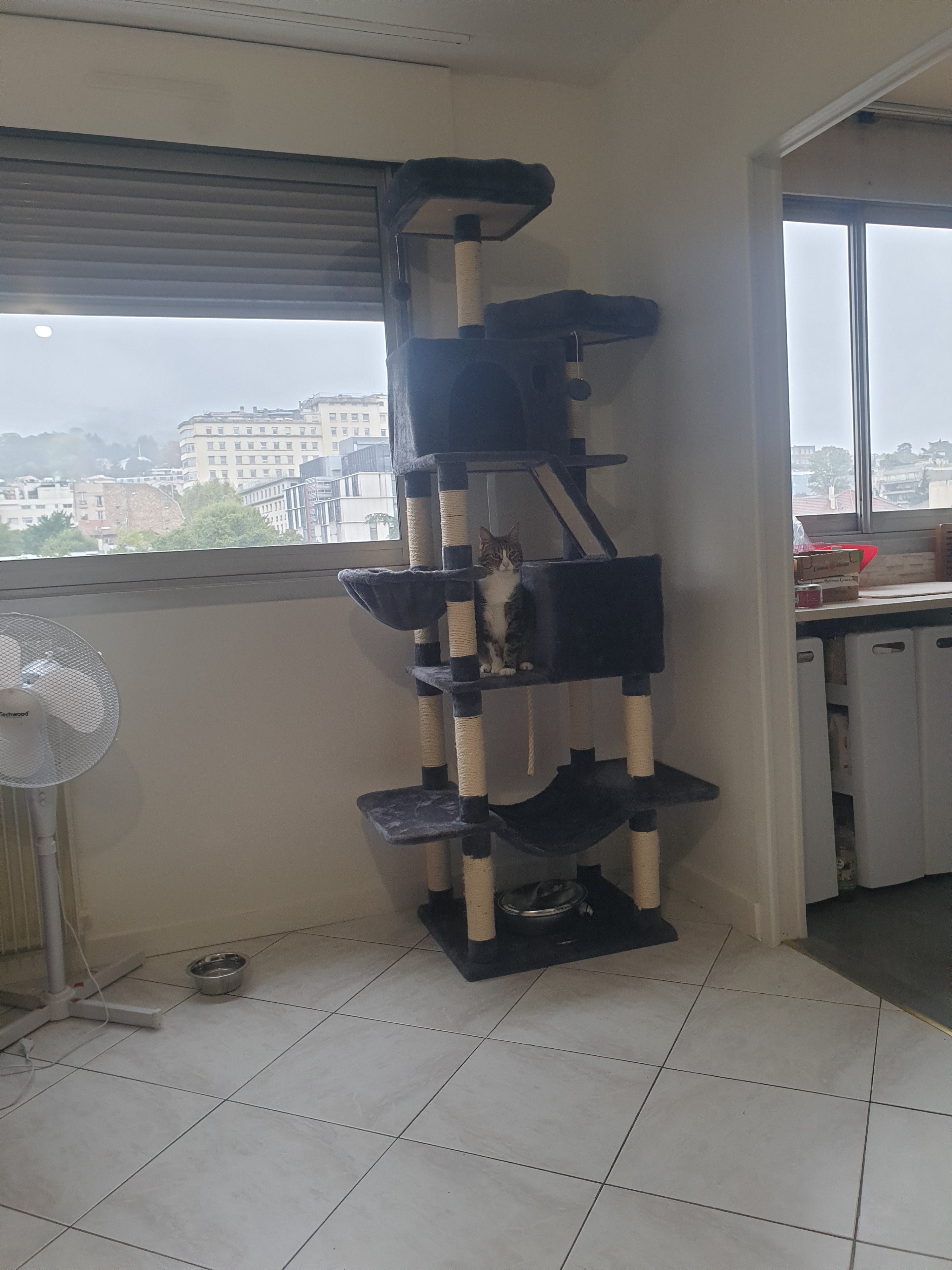 image-14