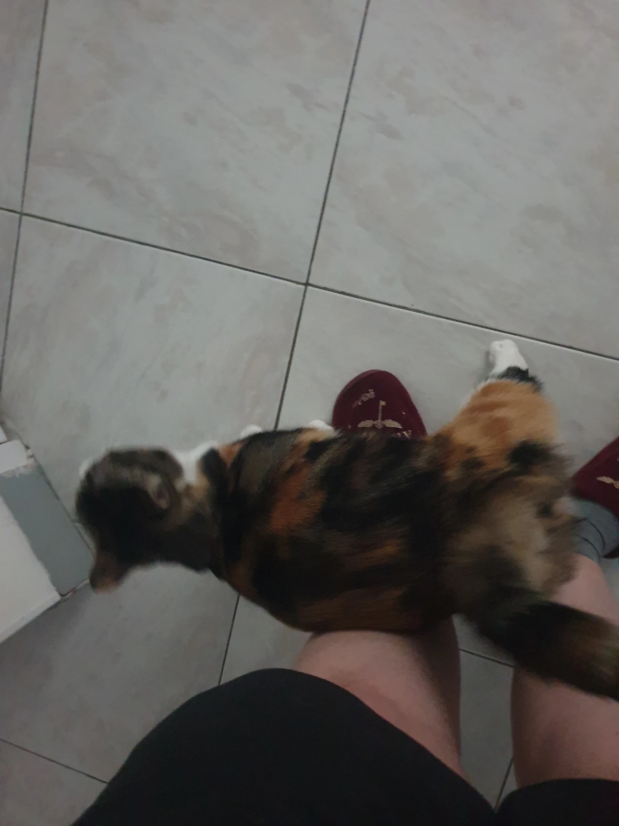 image-7