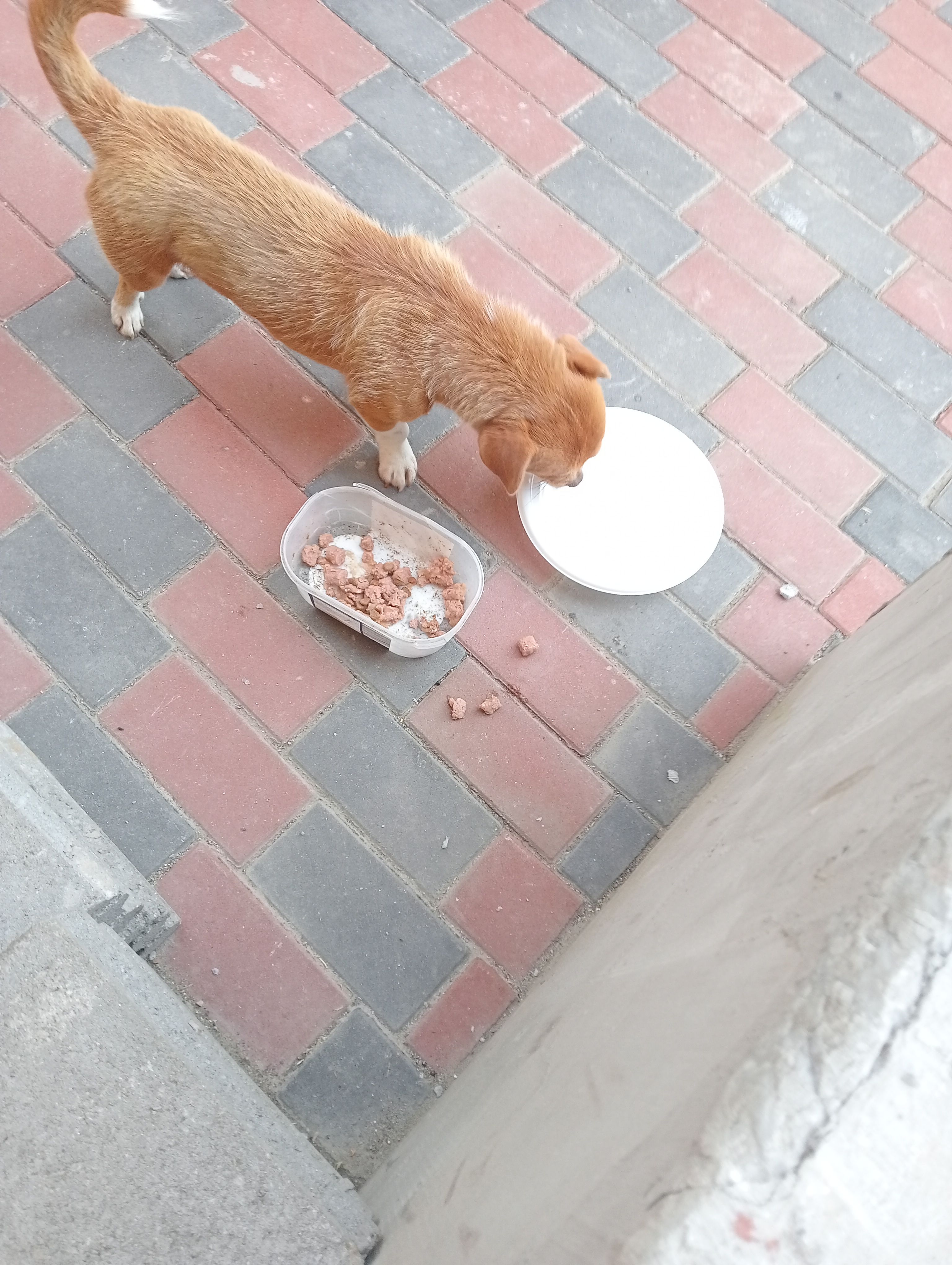image-14