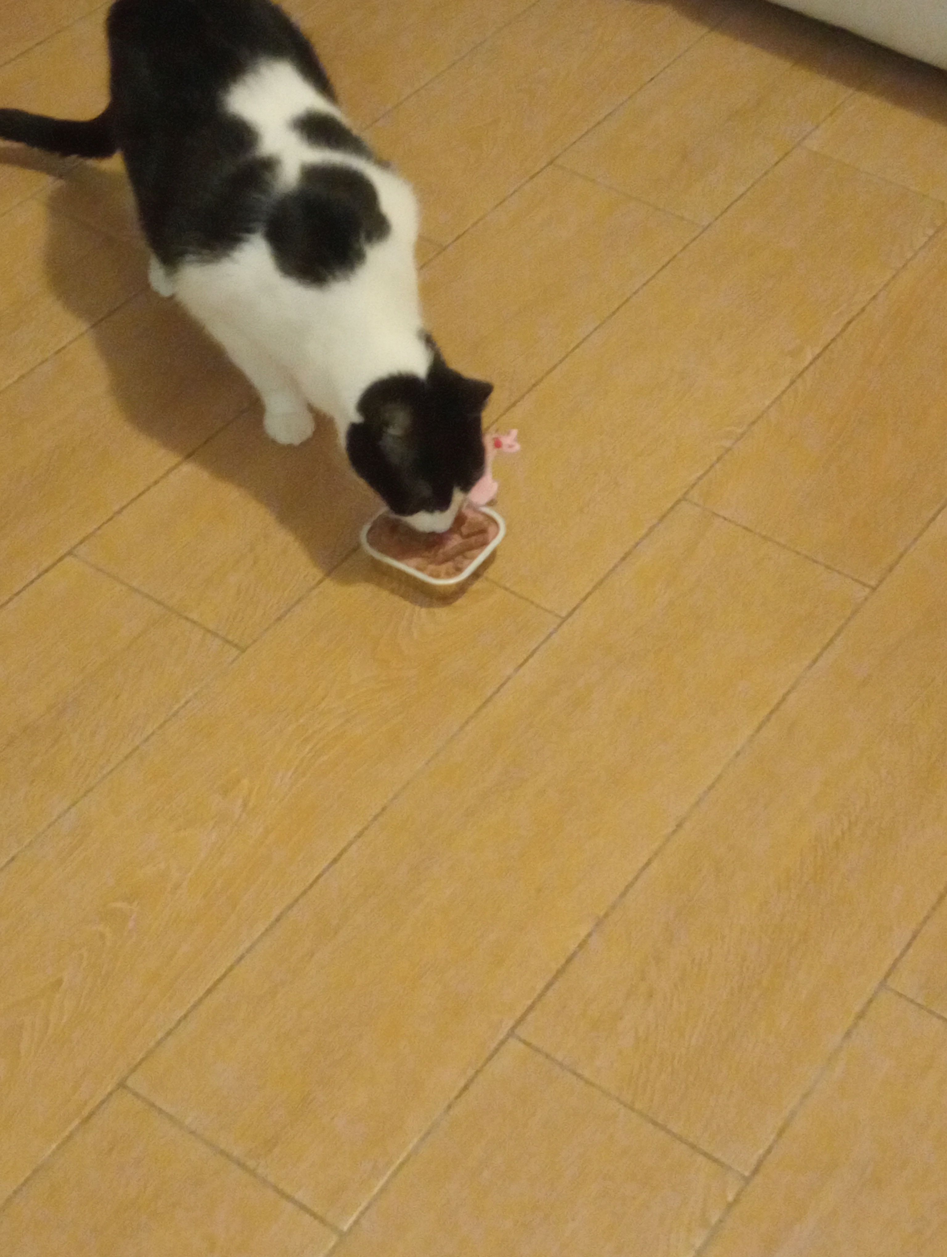 image-5