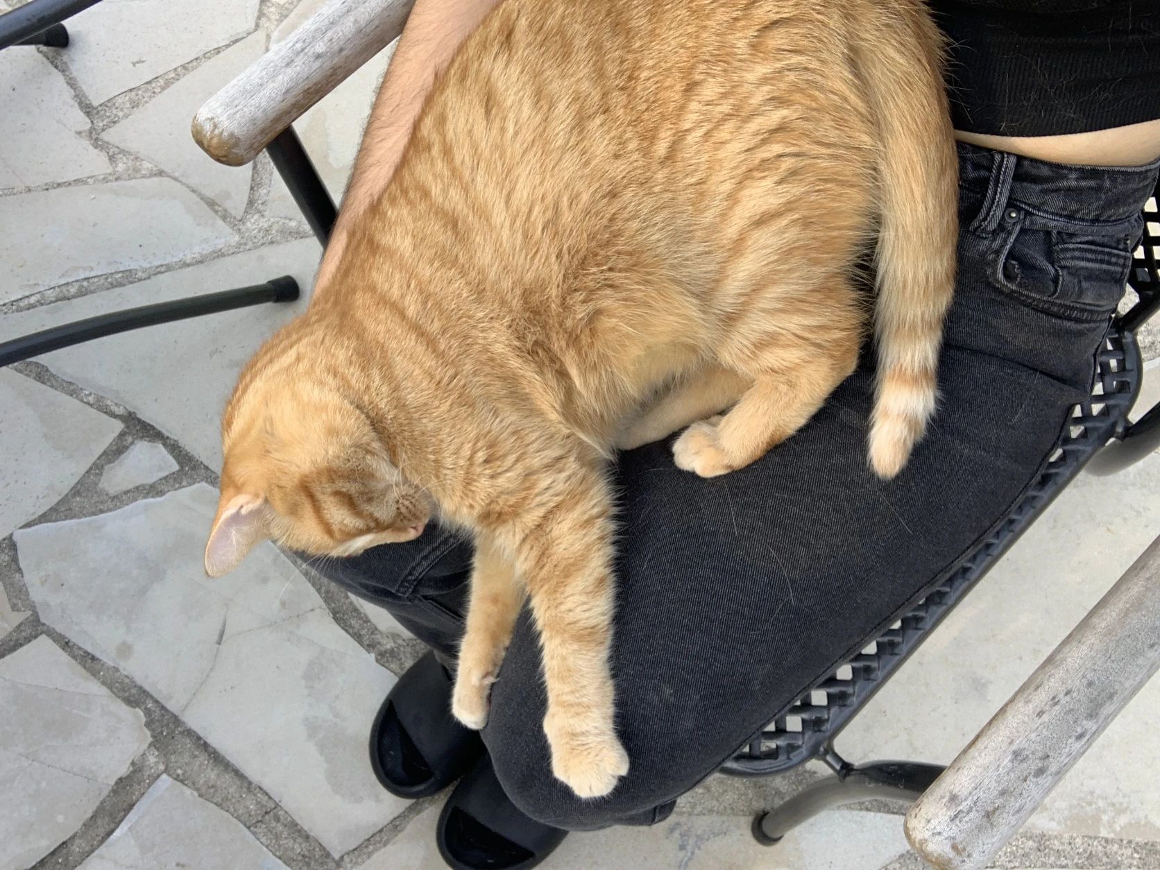 image-10