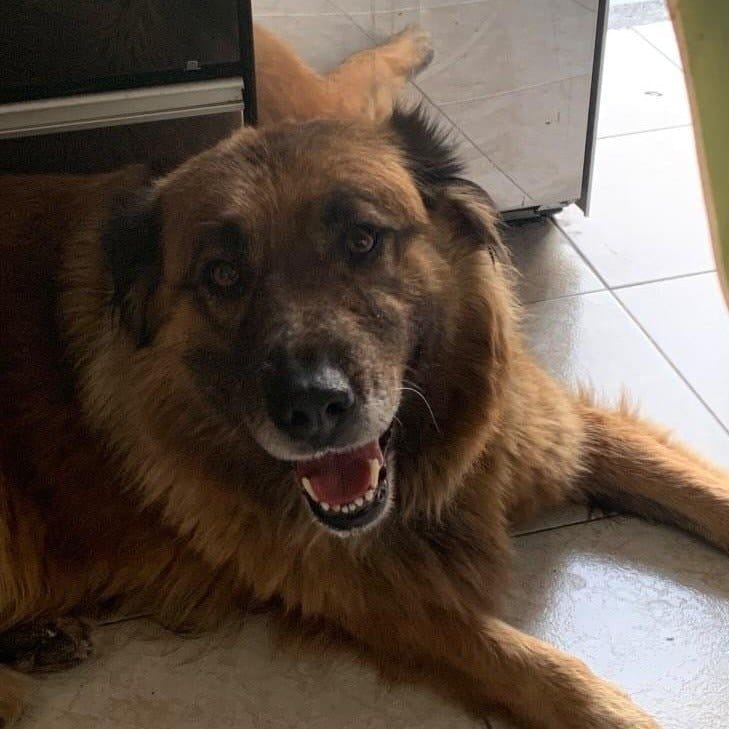 Estrella