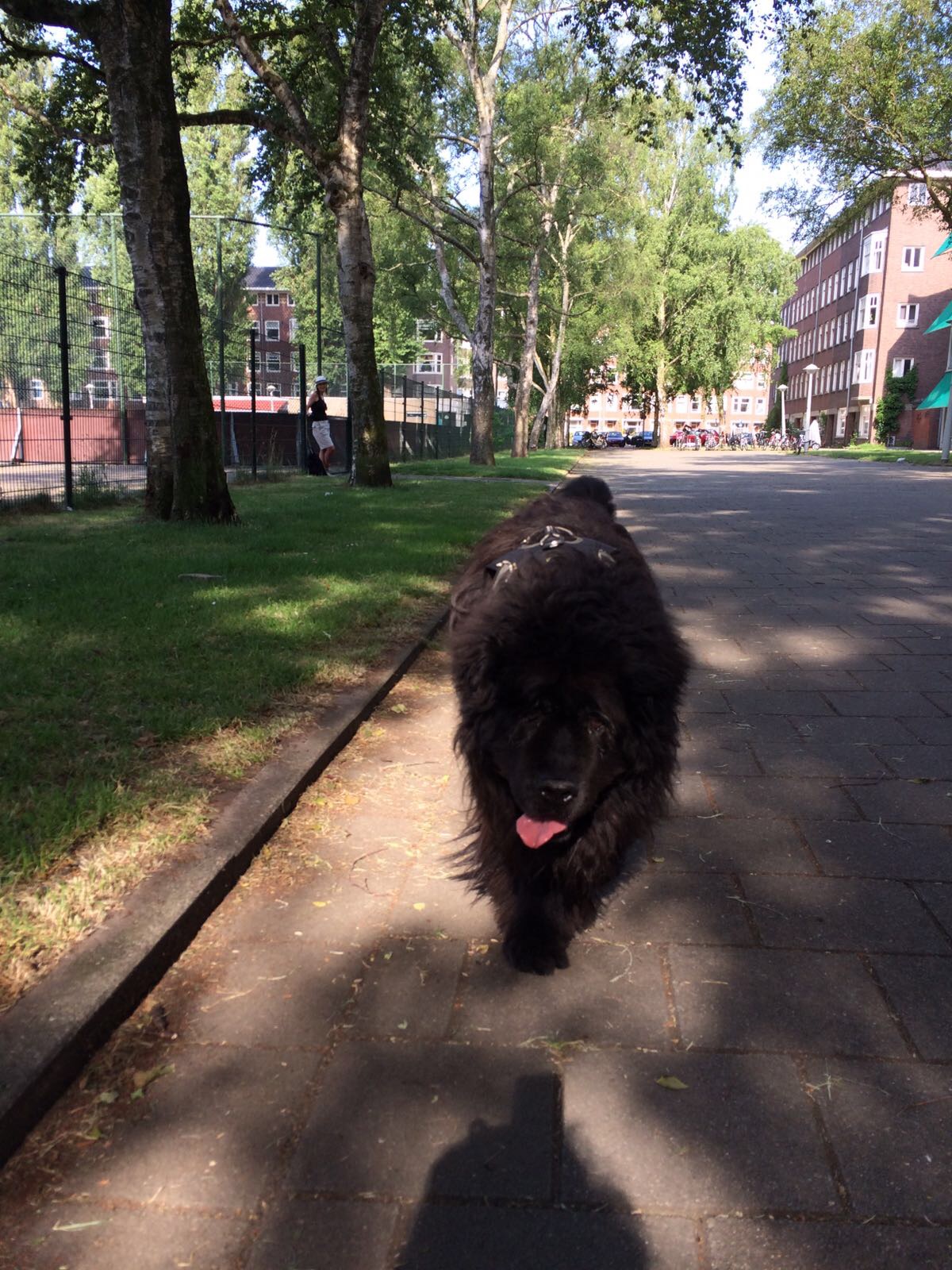 image-7