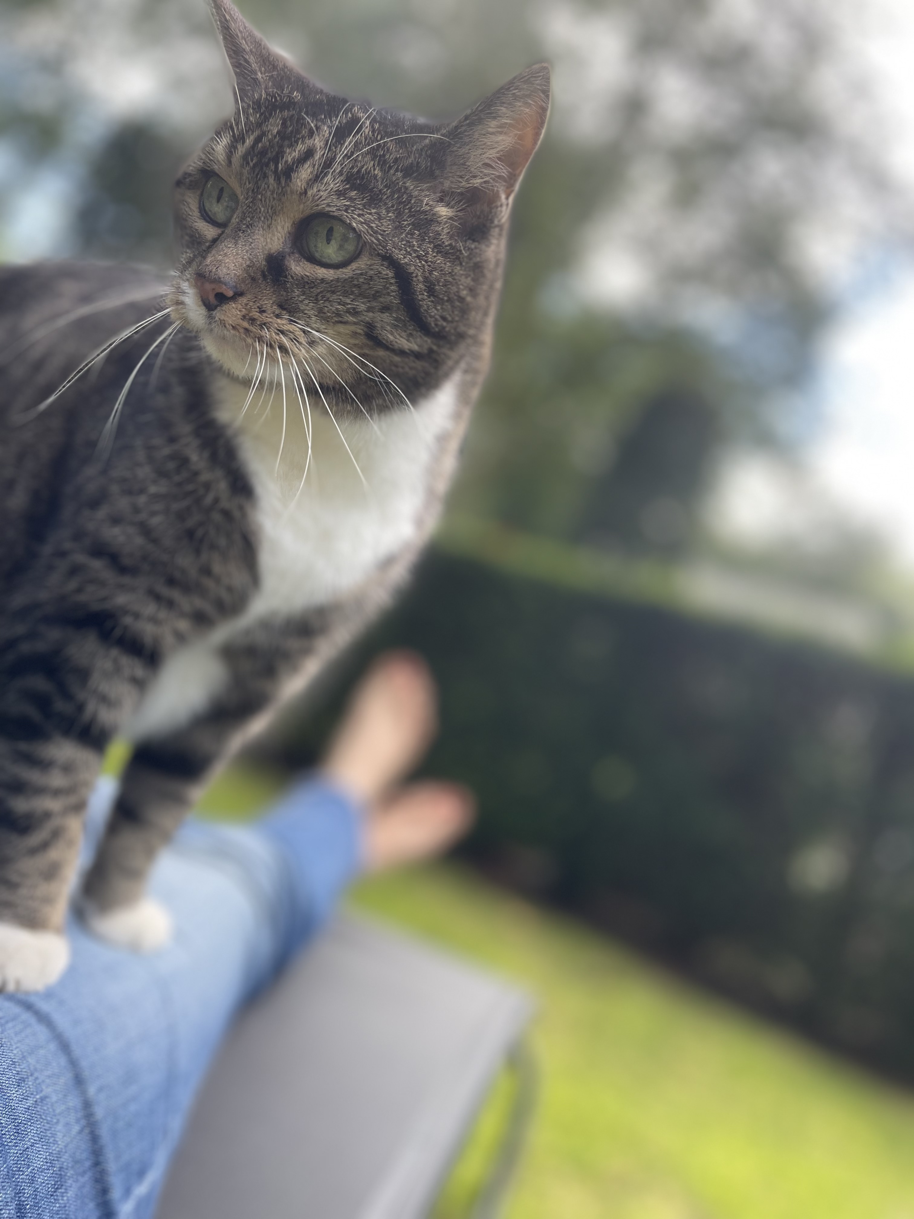 image-10