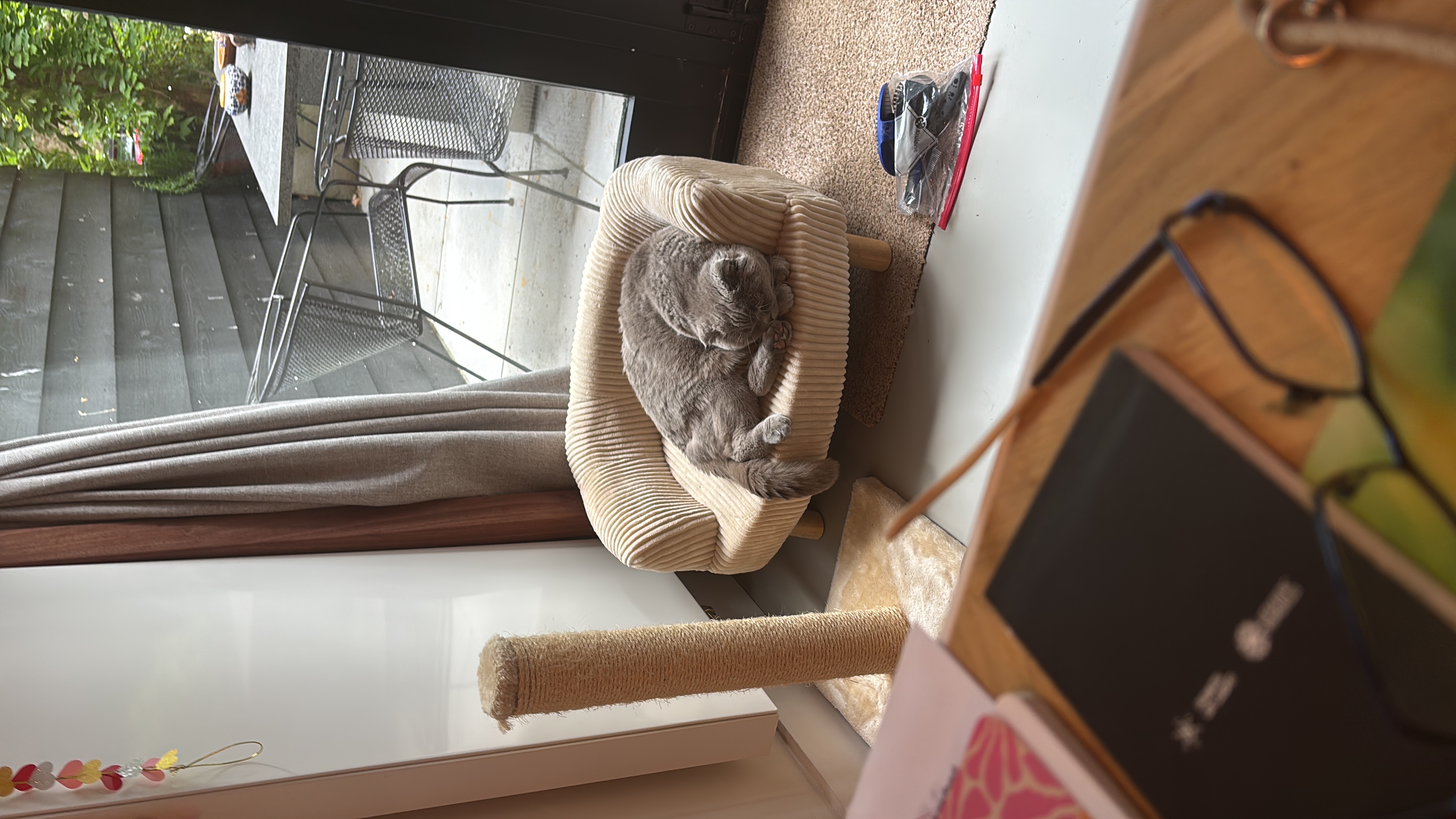 image-8