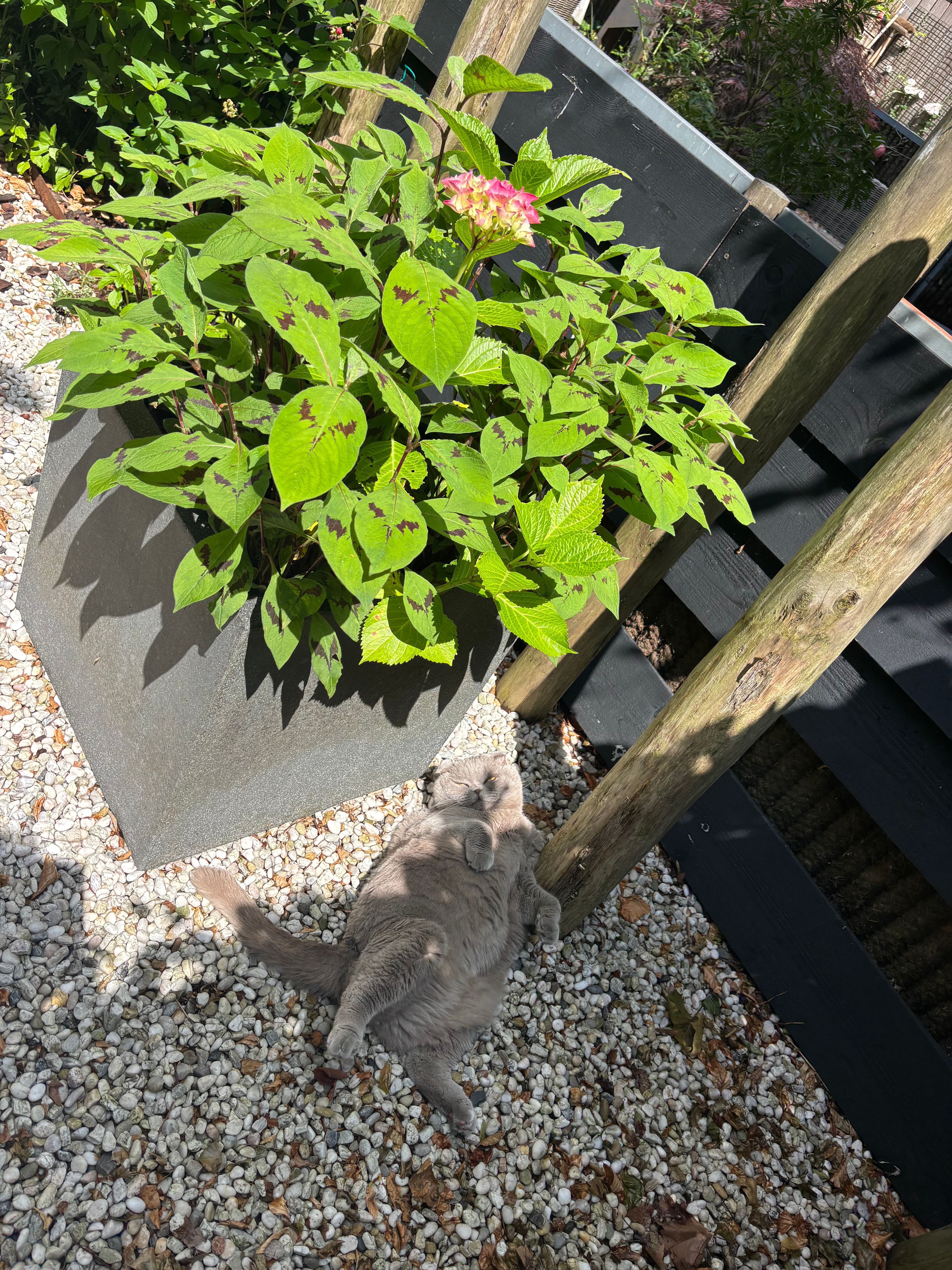 image-23
