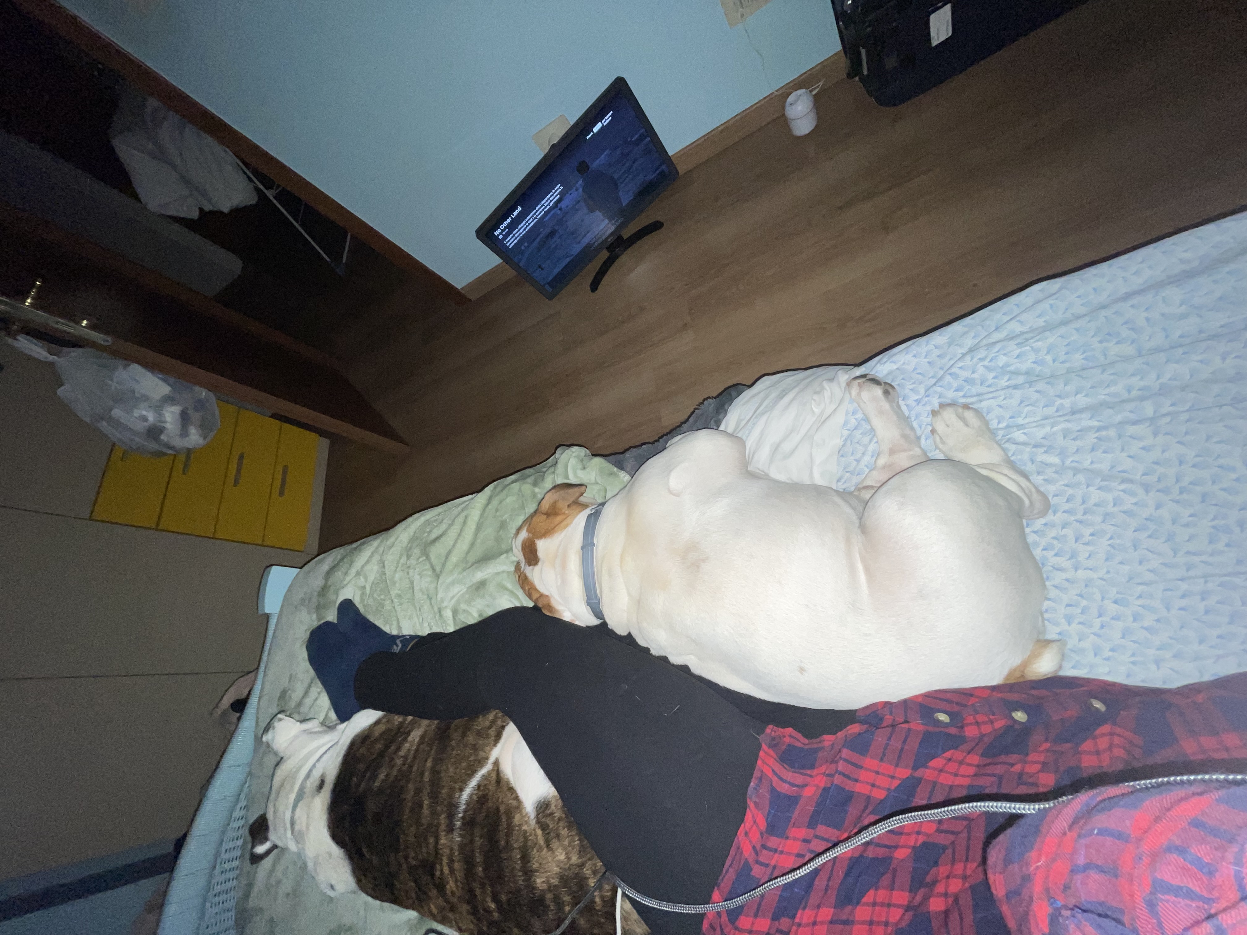 image-6