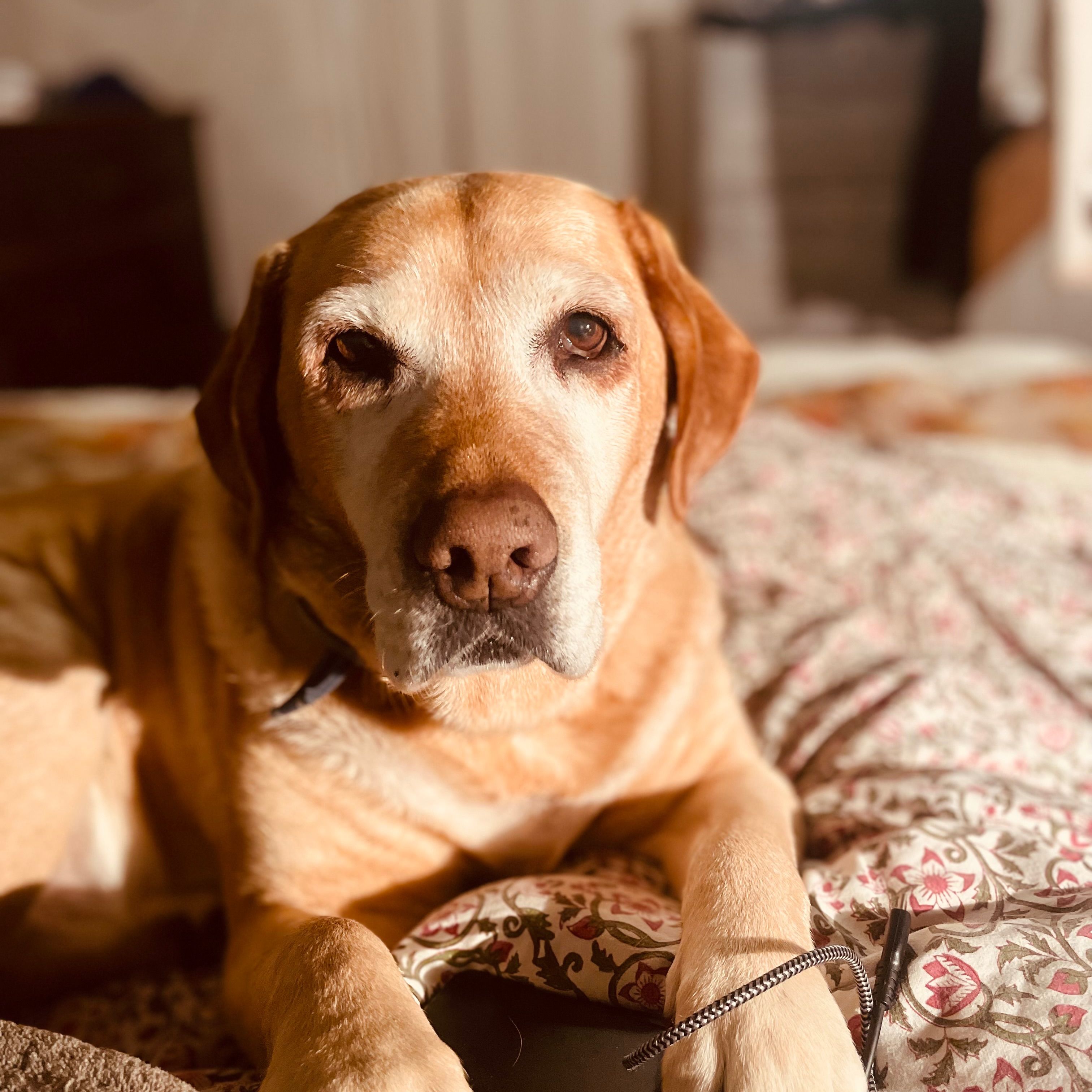 Matilda
